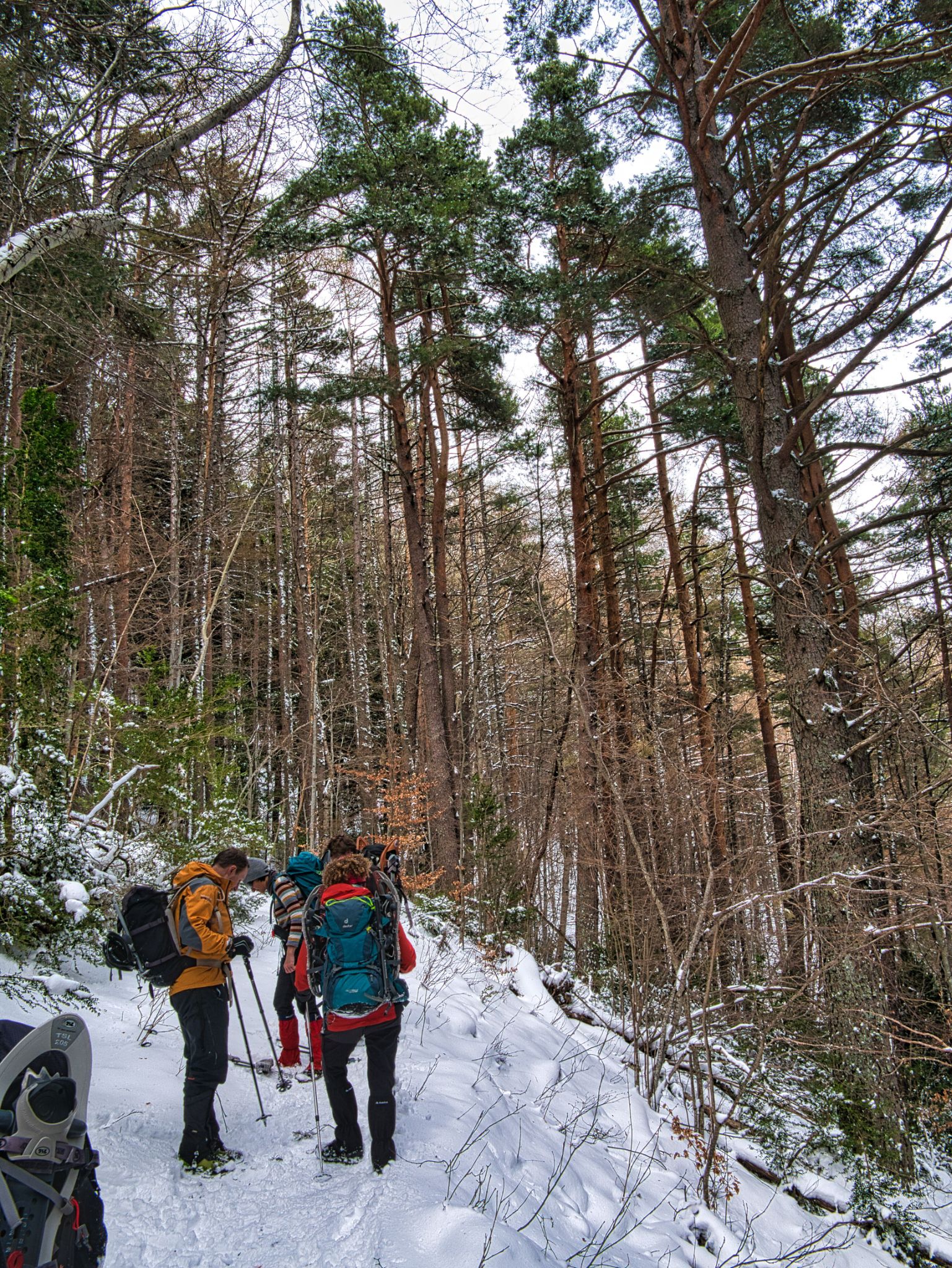 Canfranc & grotte glacée de Lecherines
