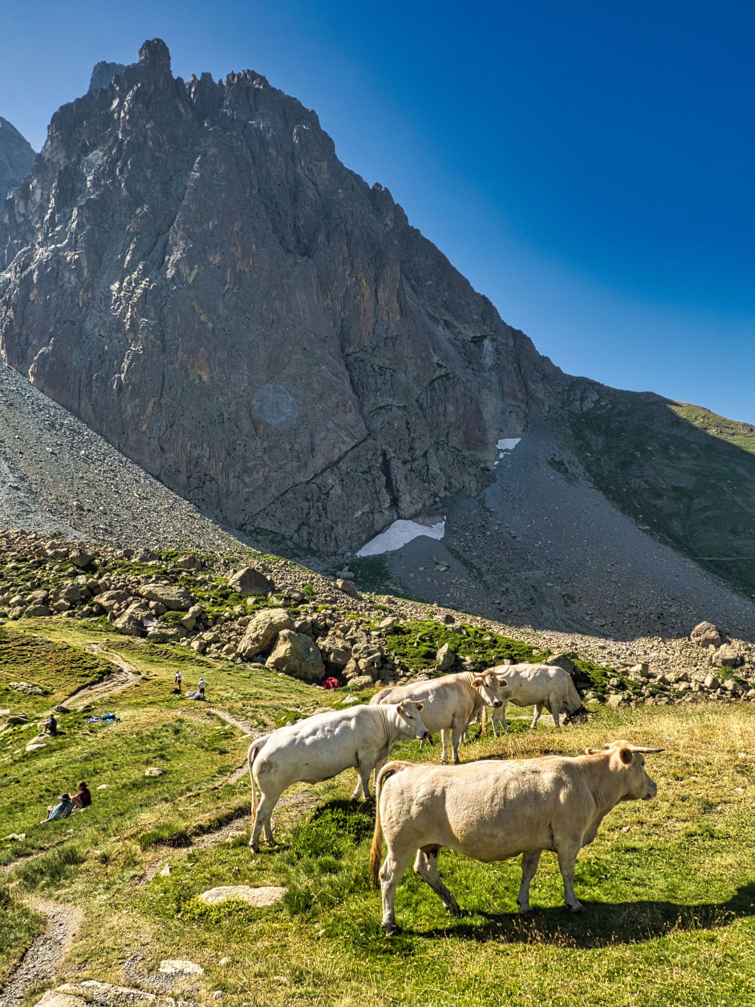 Pic du midi d'Ossau