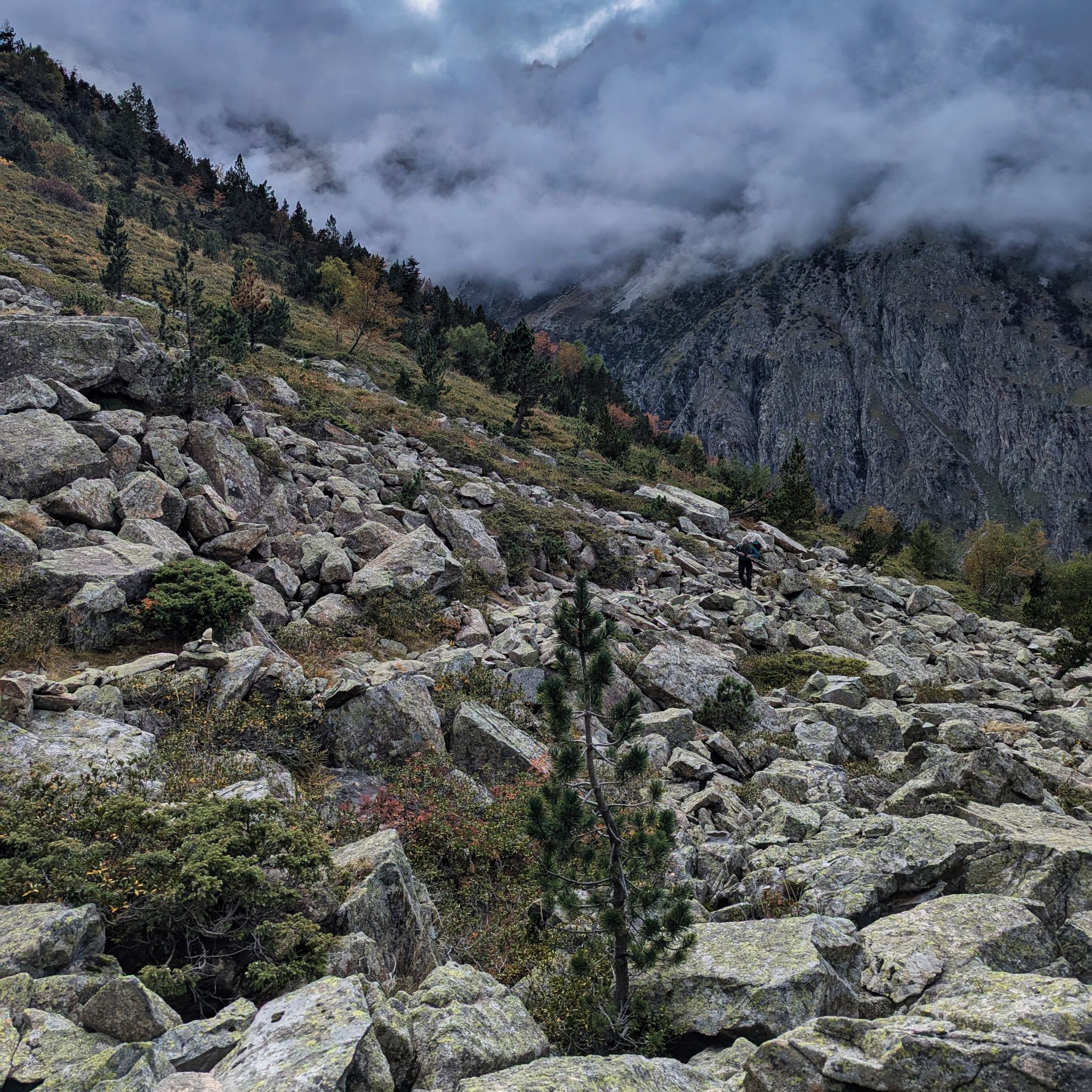 PXL 20240928 151616280