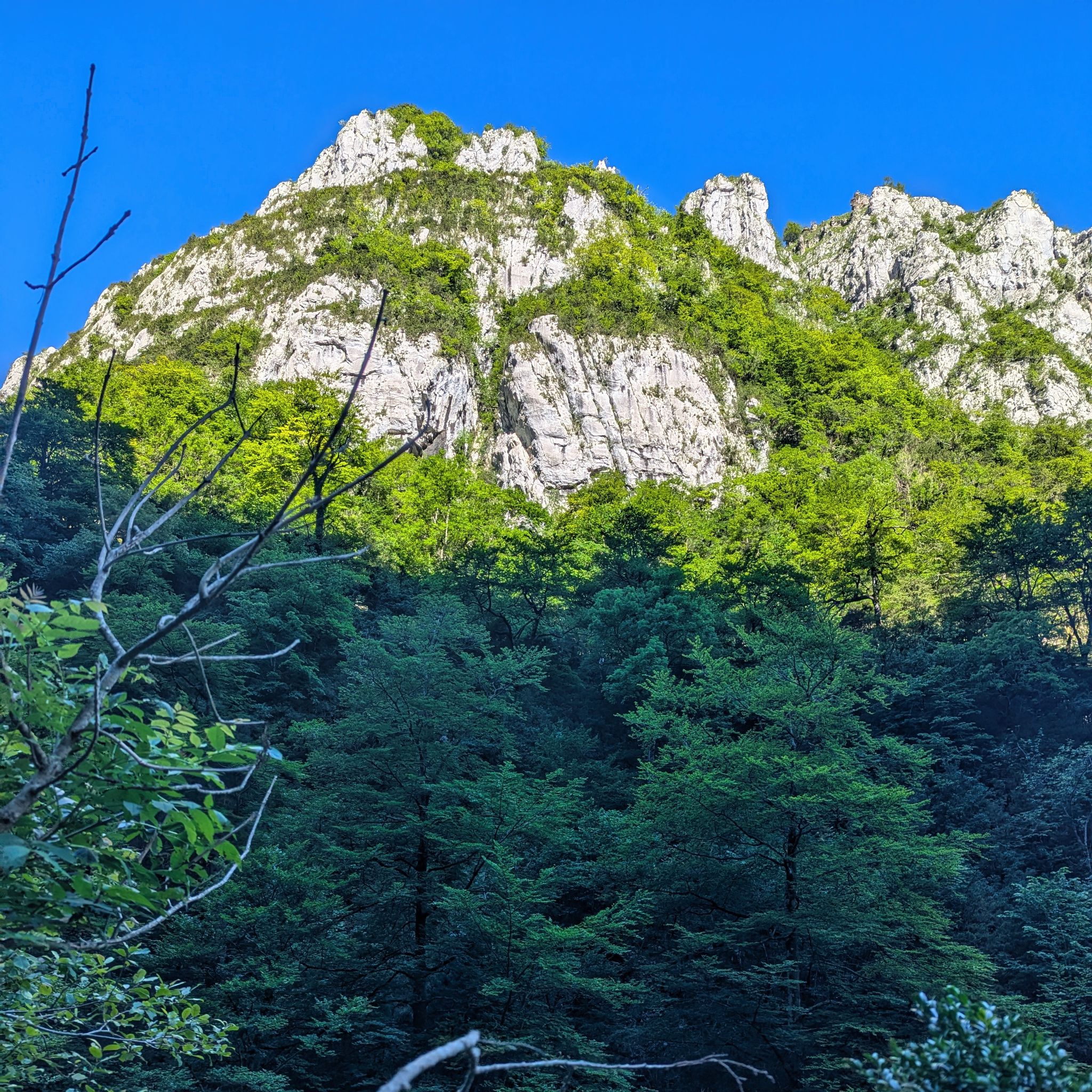 PXL 20240704 081036461