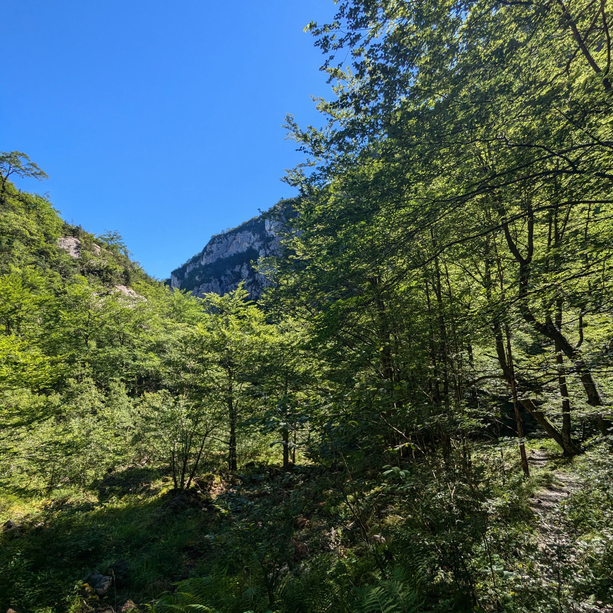 PXL 20240704 081709578