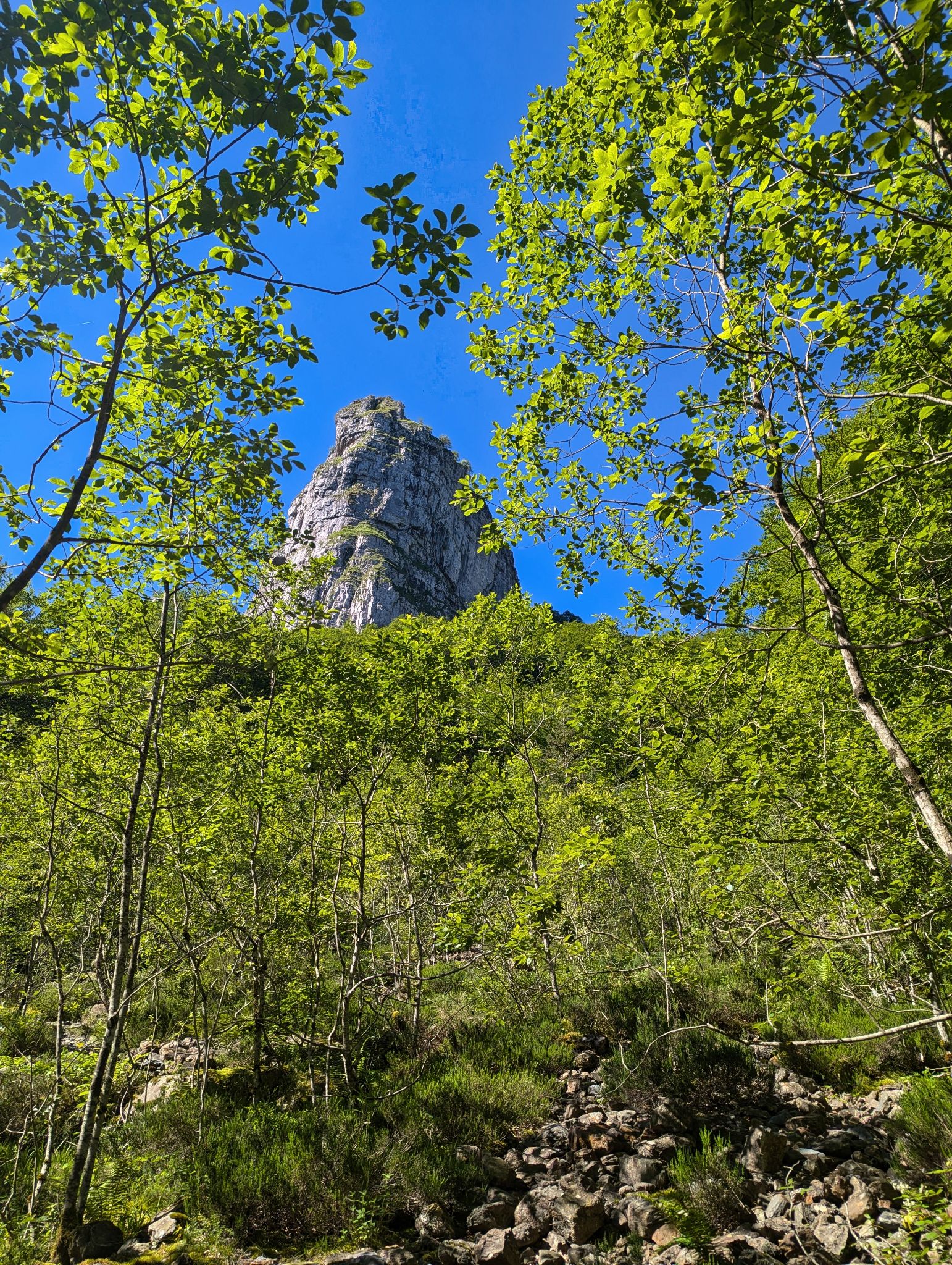 PXL 20240704 084717981