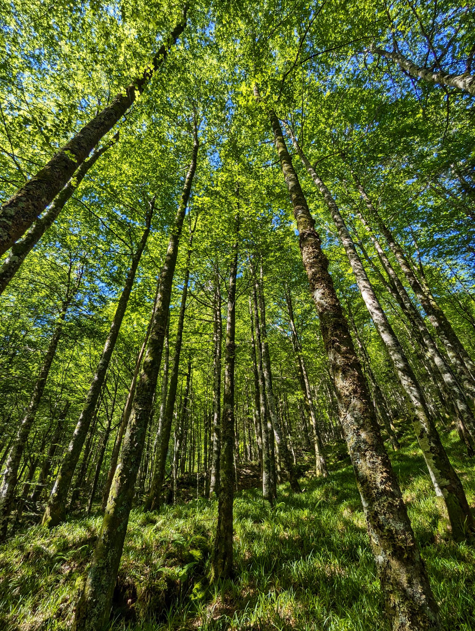 PXL 20240704 085040685