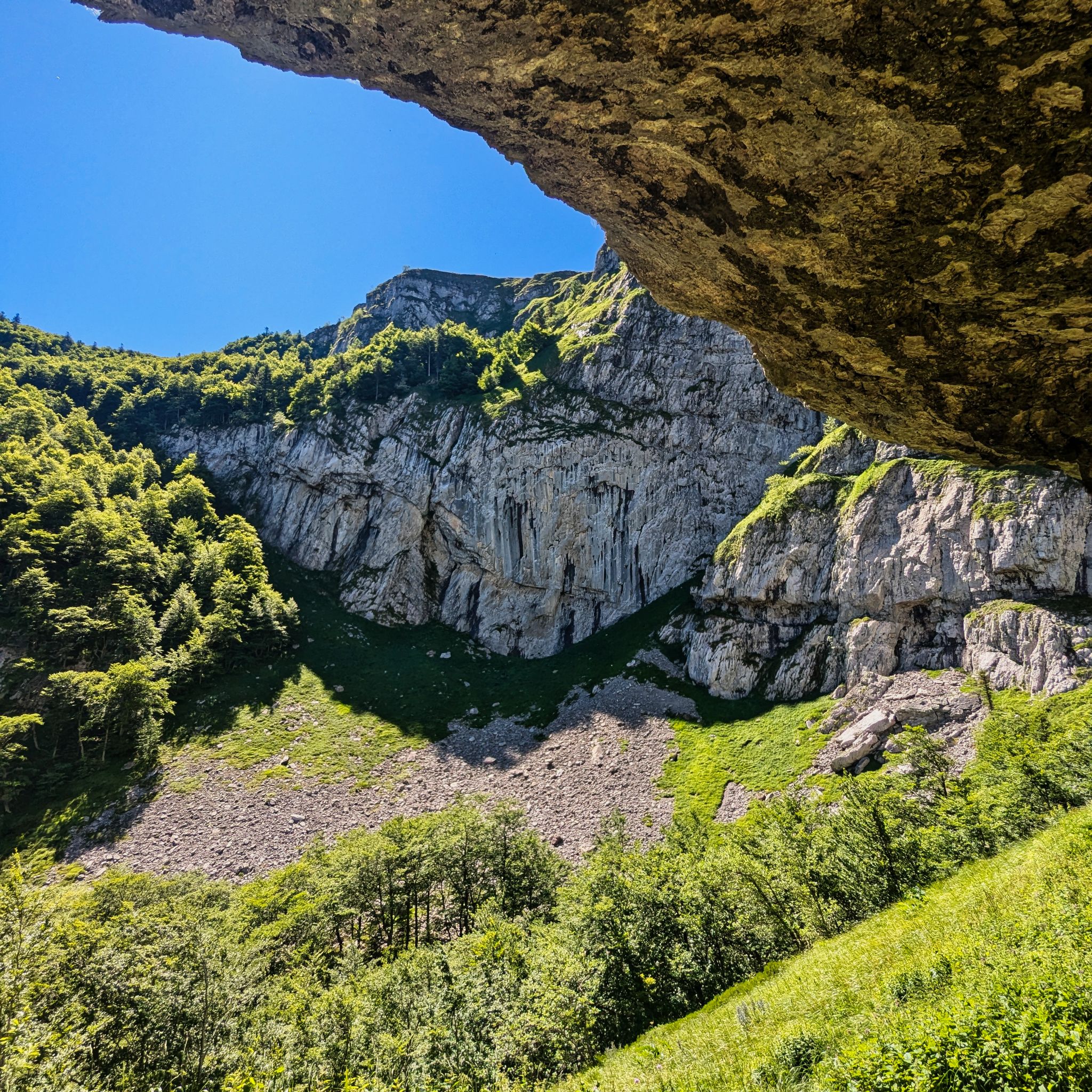 PXL 20240704 093733921