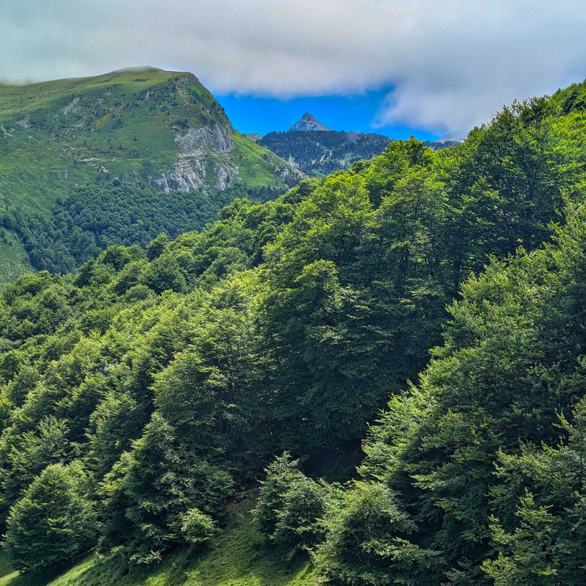 PXL 20240704 112357110