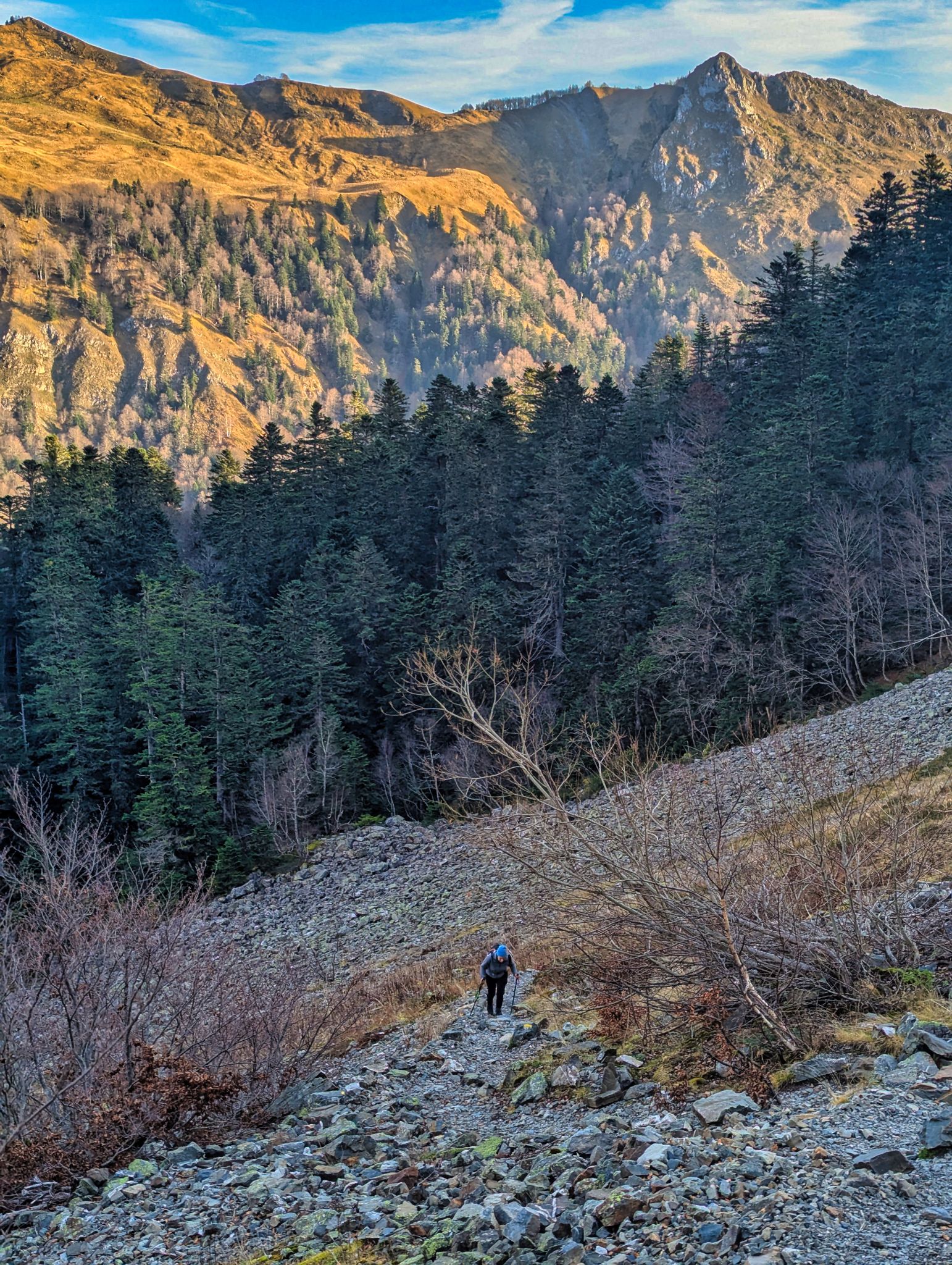 PXL 20241201 085003165