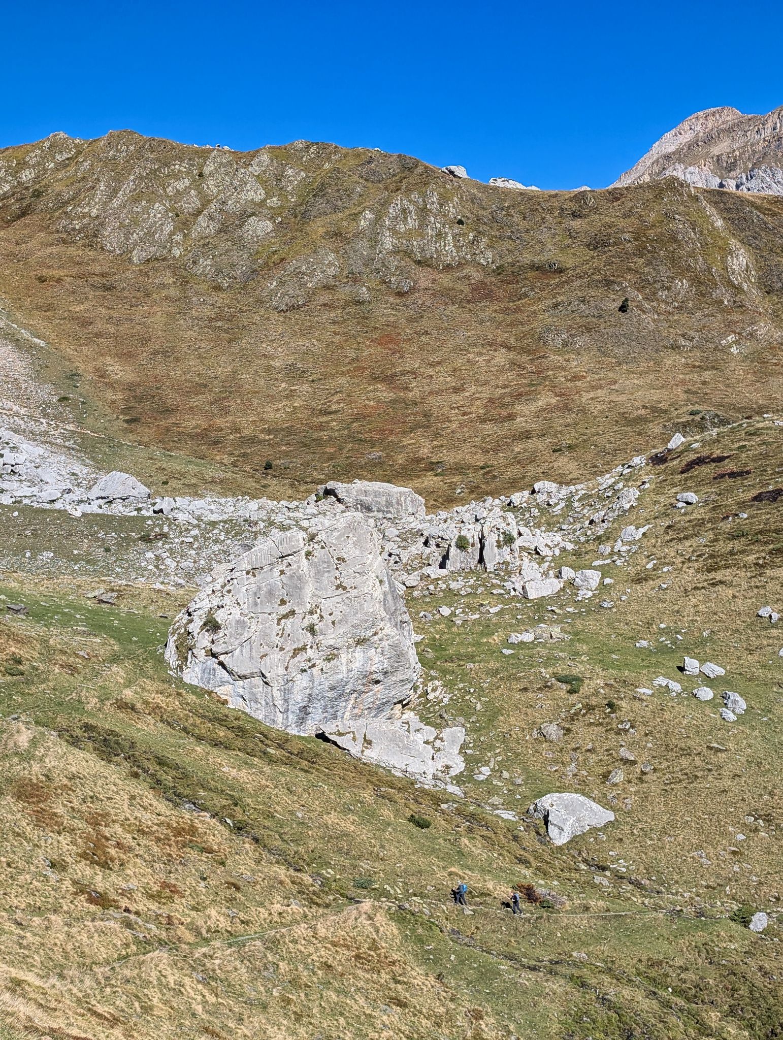 PXL 20251006 090134629