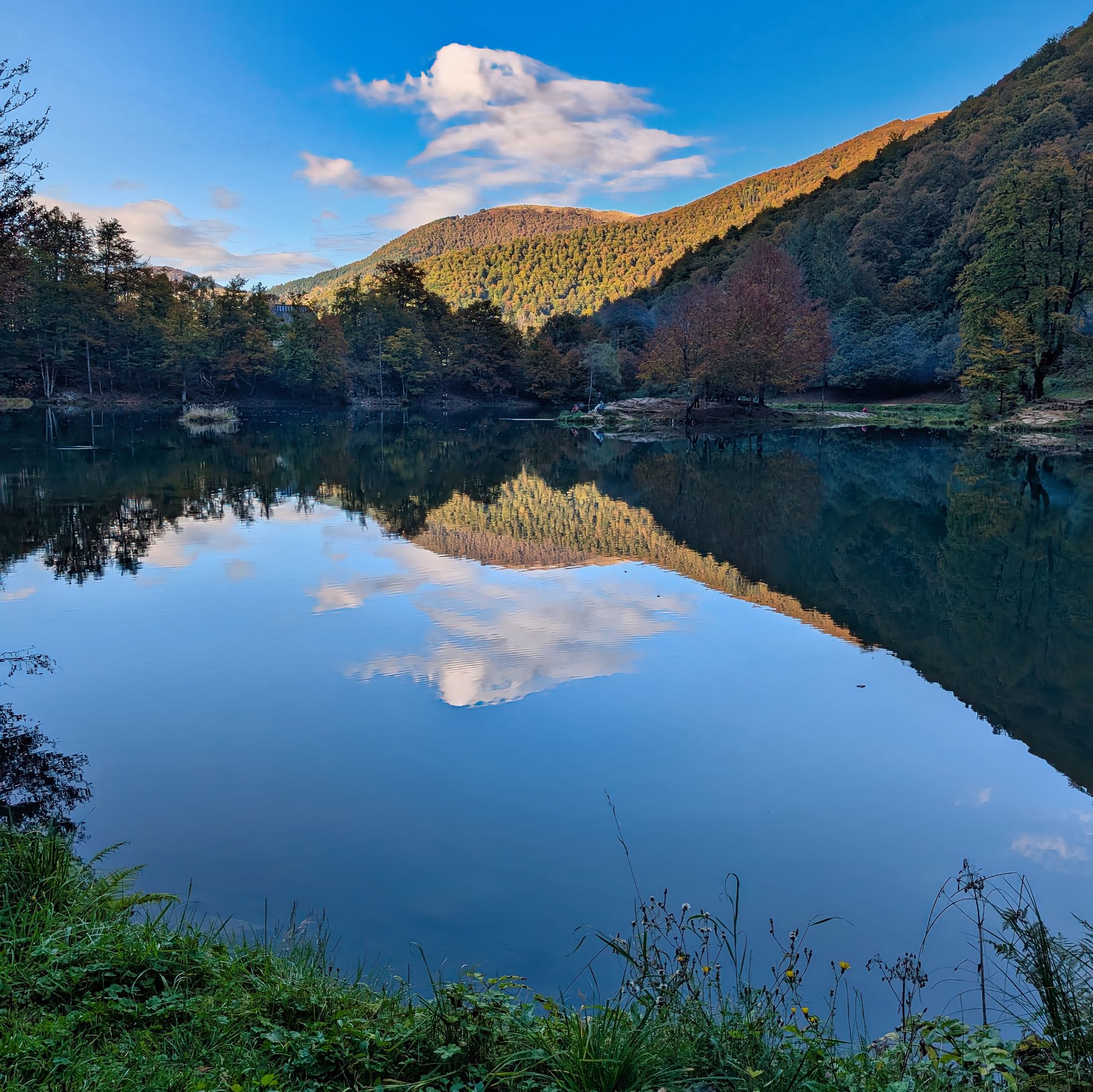 PXL 20251011 153754234