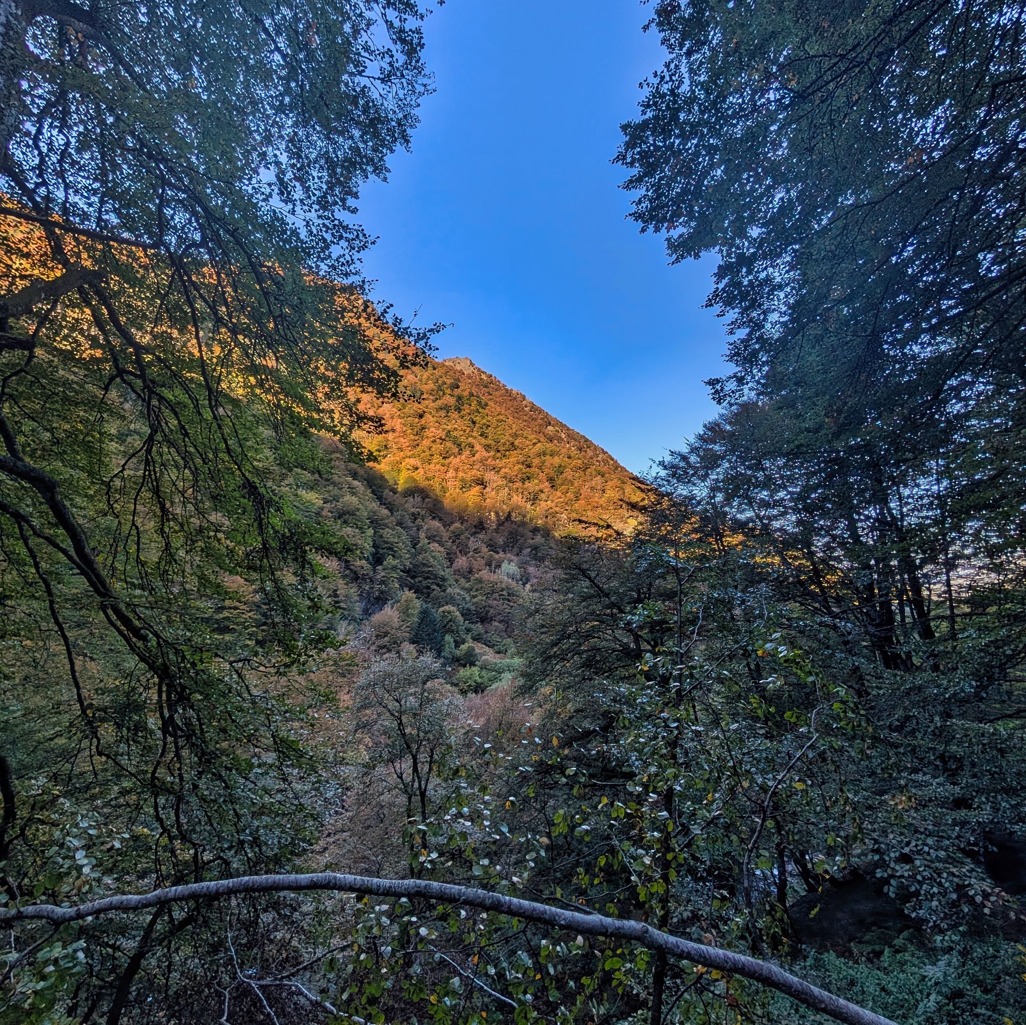 PXL 20251012 081144508