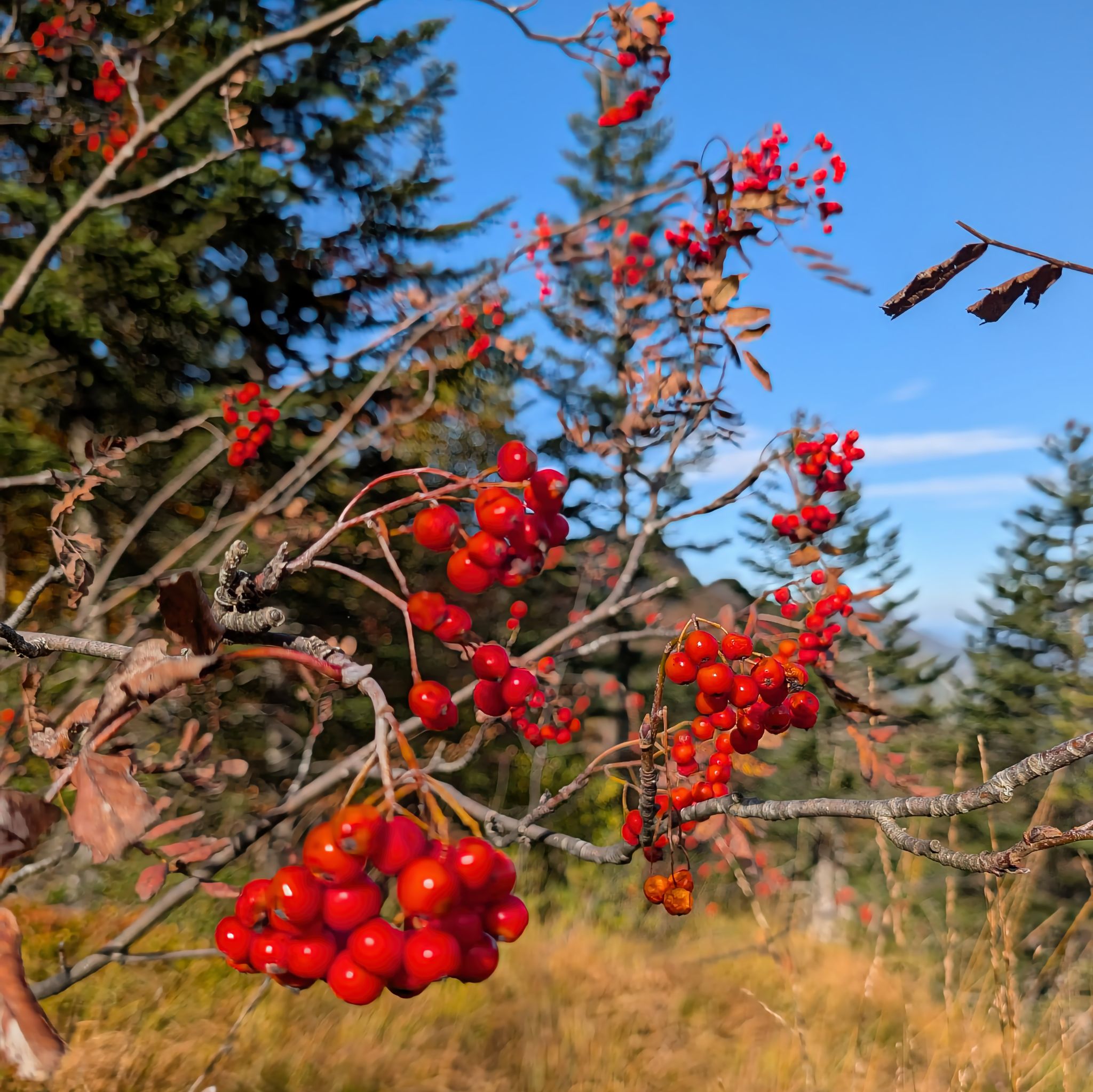 PXL 20251012 092747099