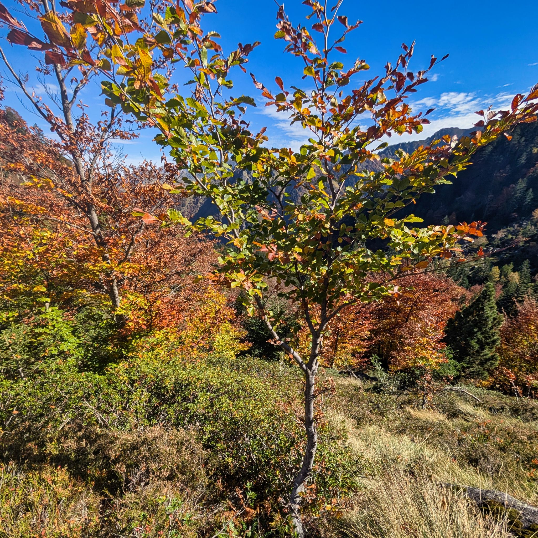 PXL 20251012 101347021