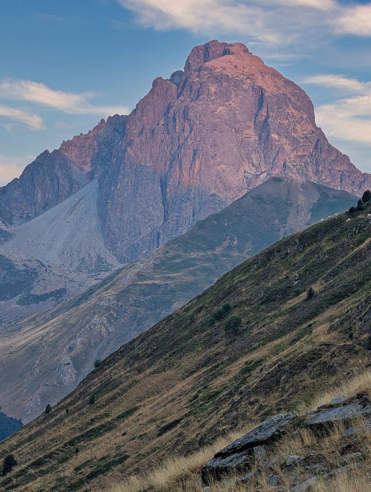 PXL 20250814 052411845