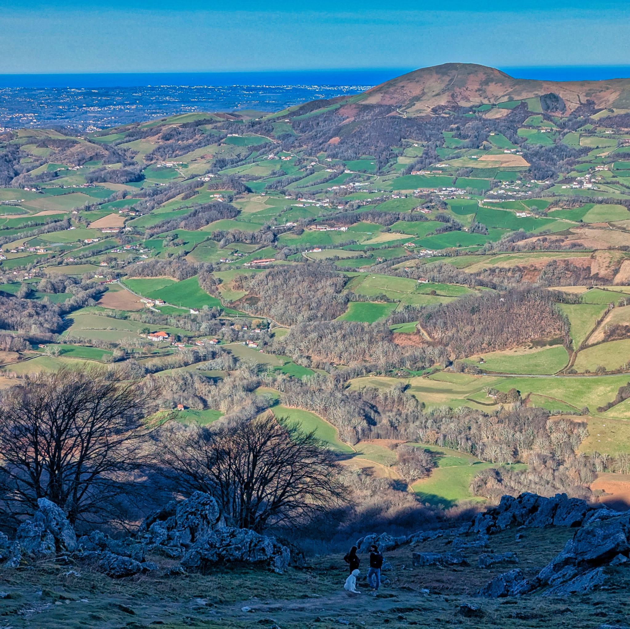 PXL 20250101 104244725