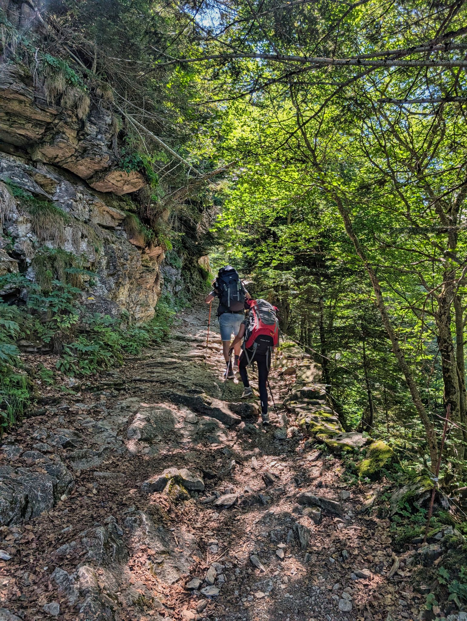 PXL 20250802 125835024