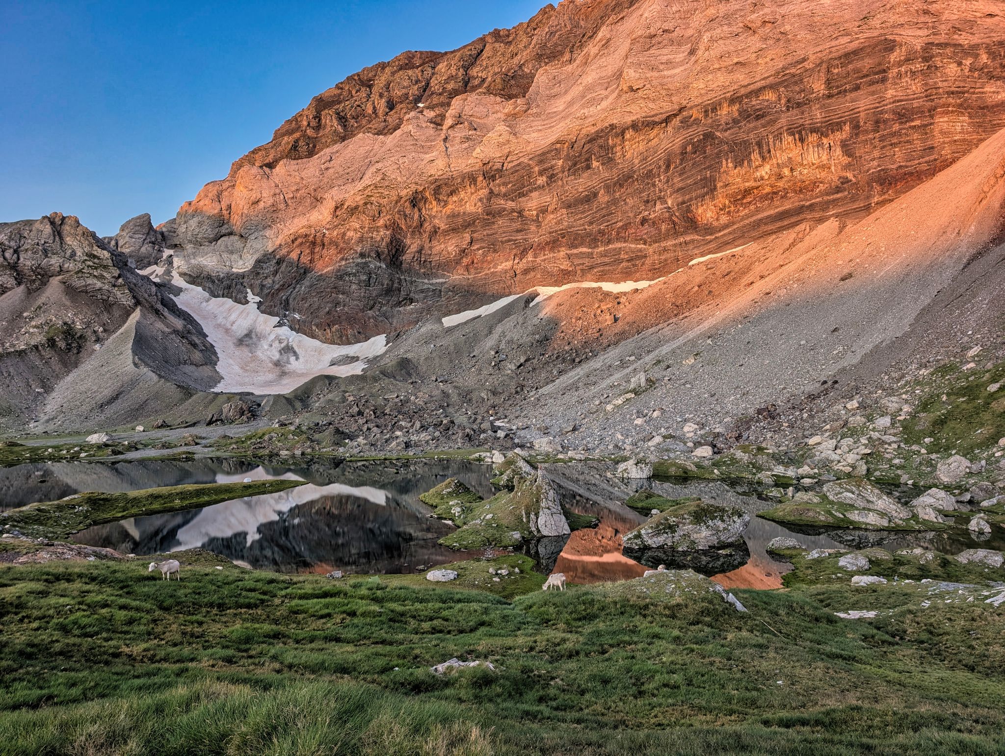 PXL 20250803 050335886