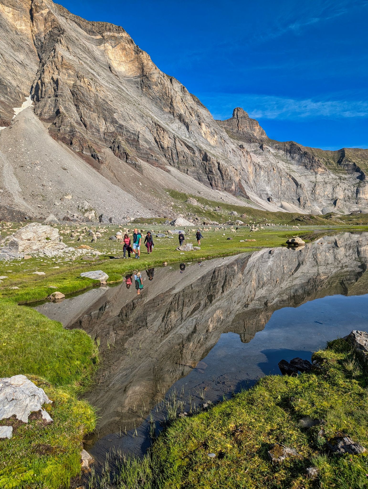 PXL 20250803 070755844