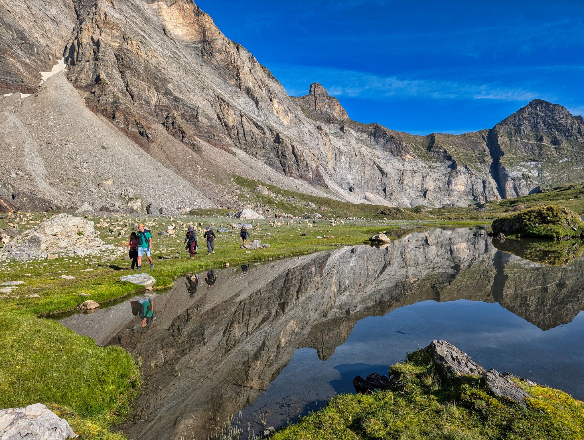 PXL 20250803 070800102