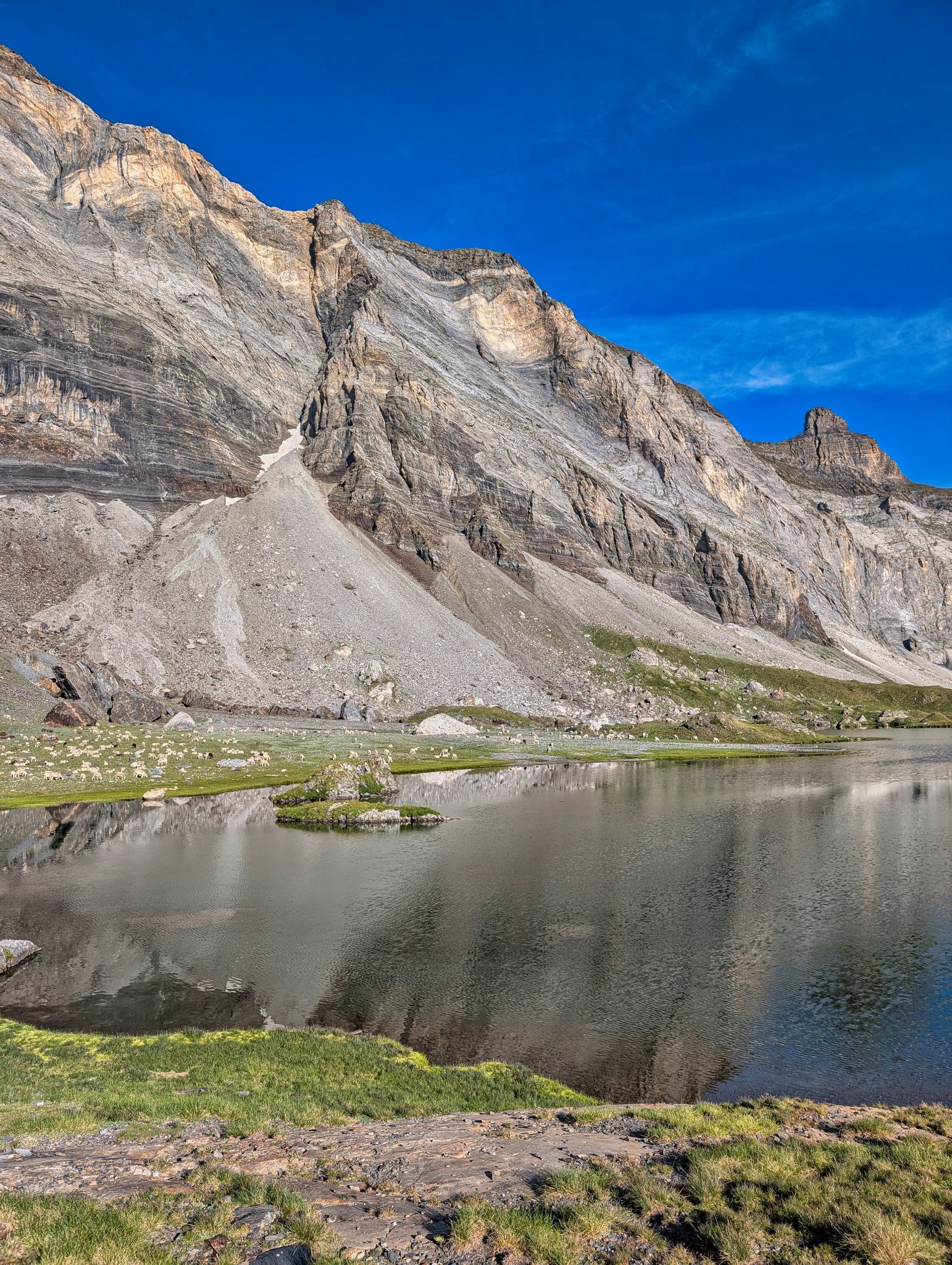 PXL 20250803 071048522