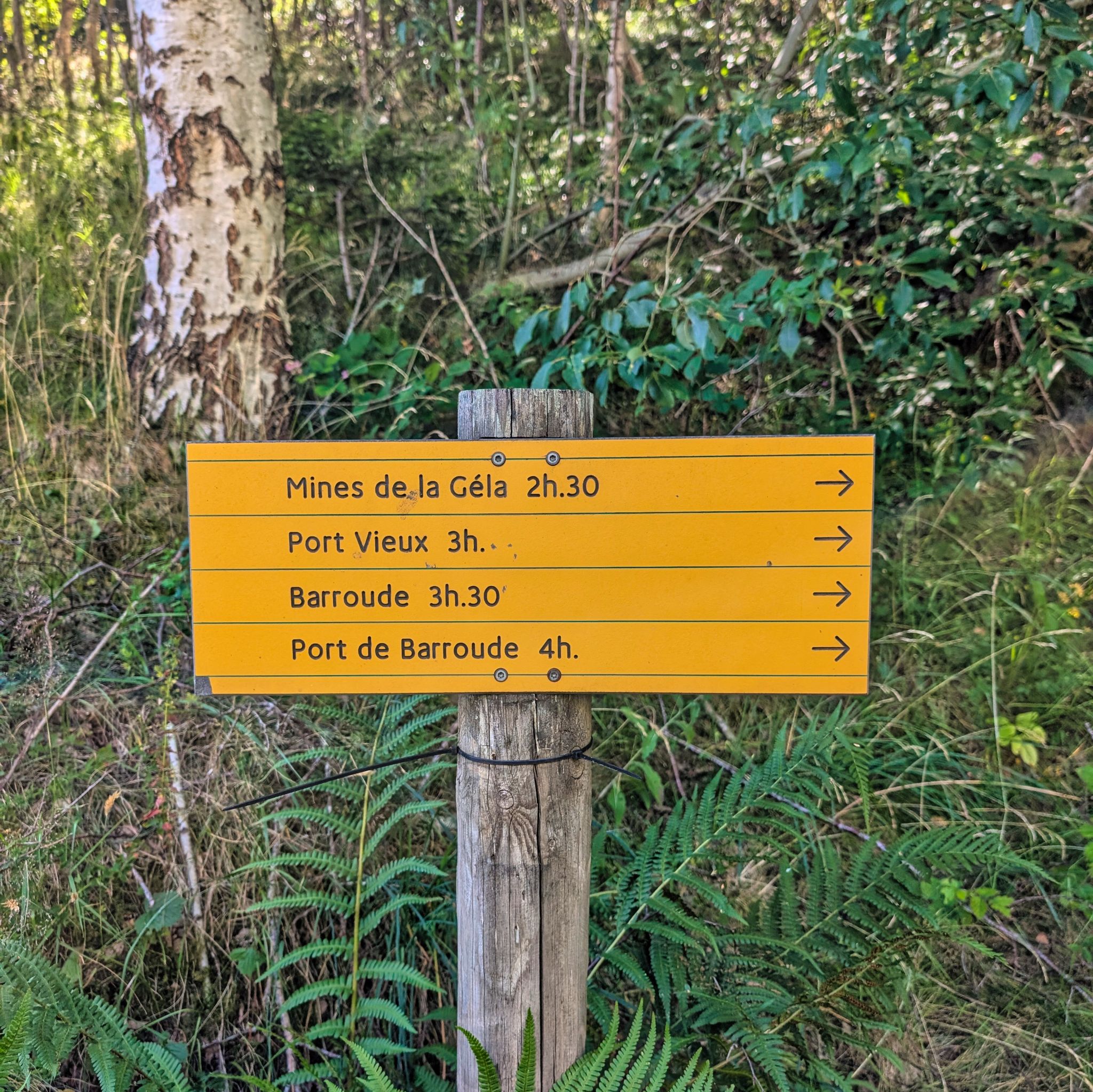 PXL 20250803 104308012