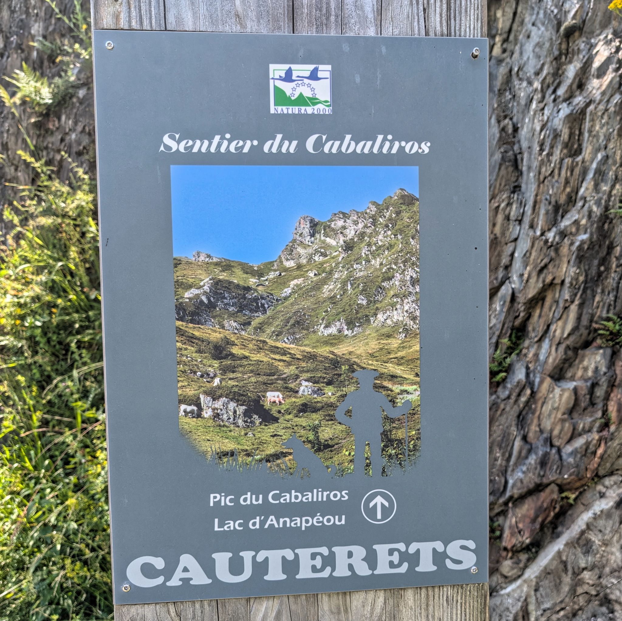 PXL 20250616 134156278.MP