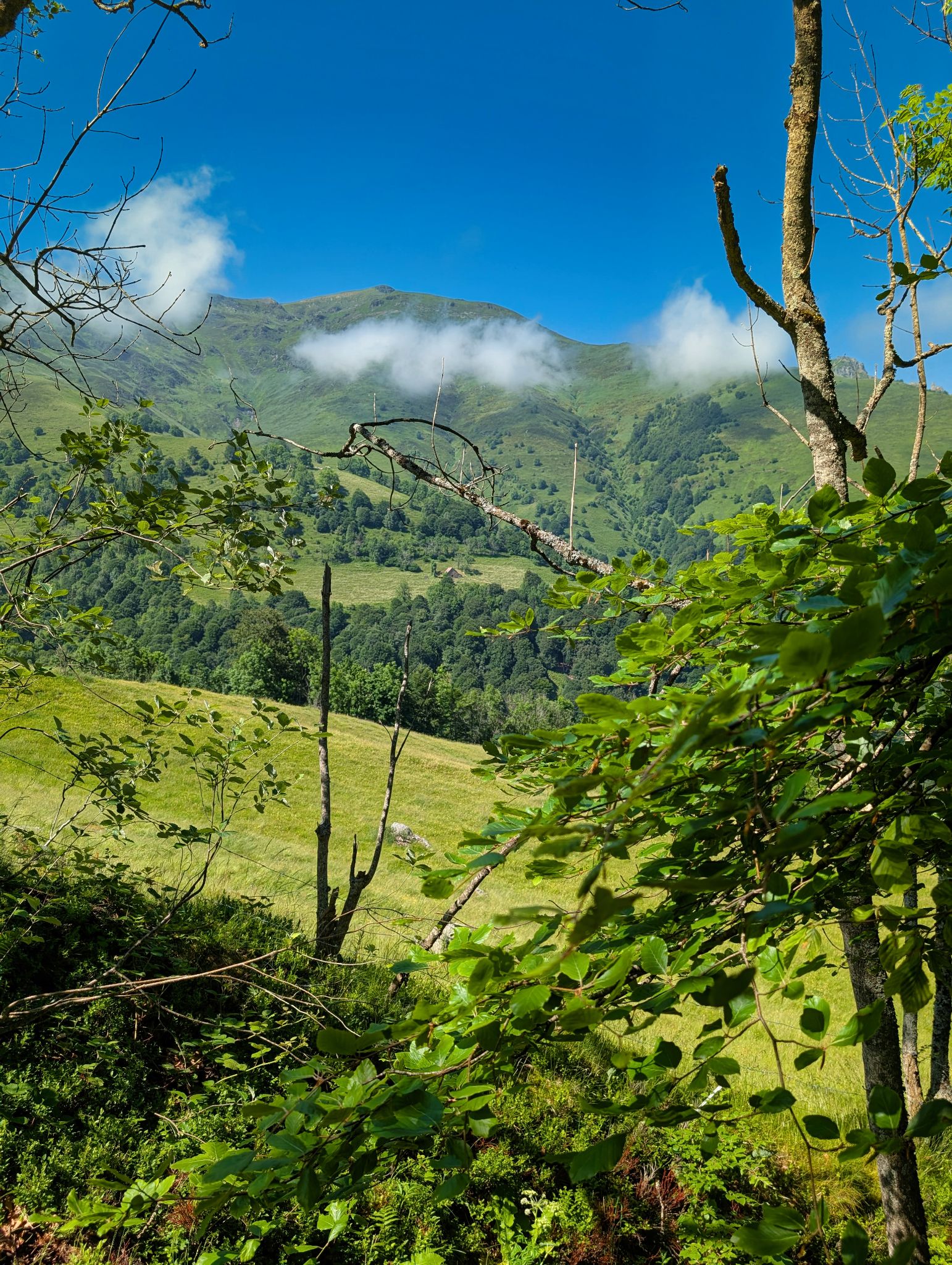 PXL 20250616 142643866