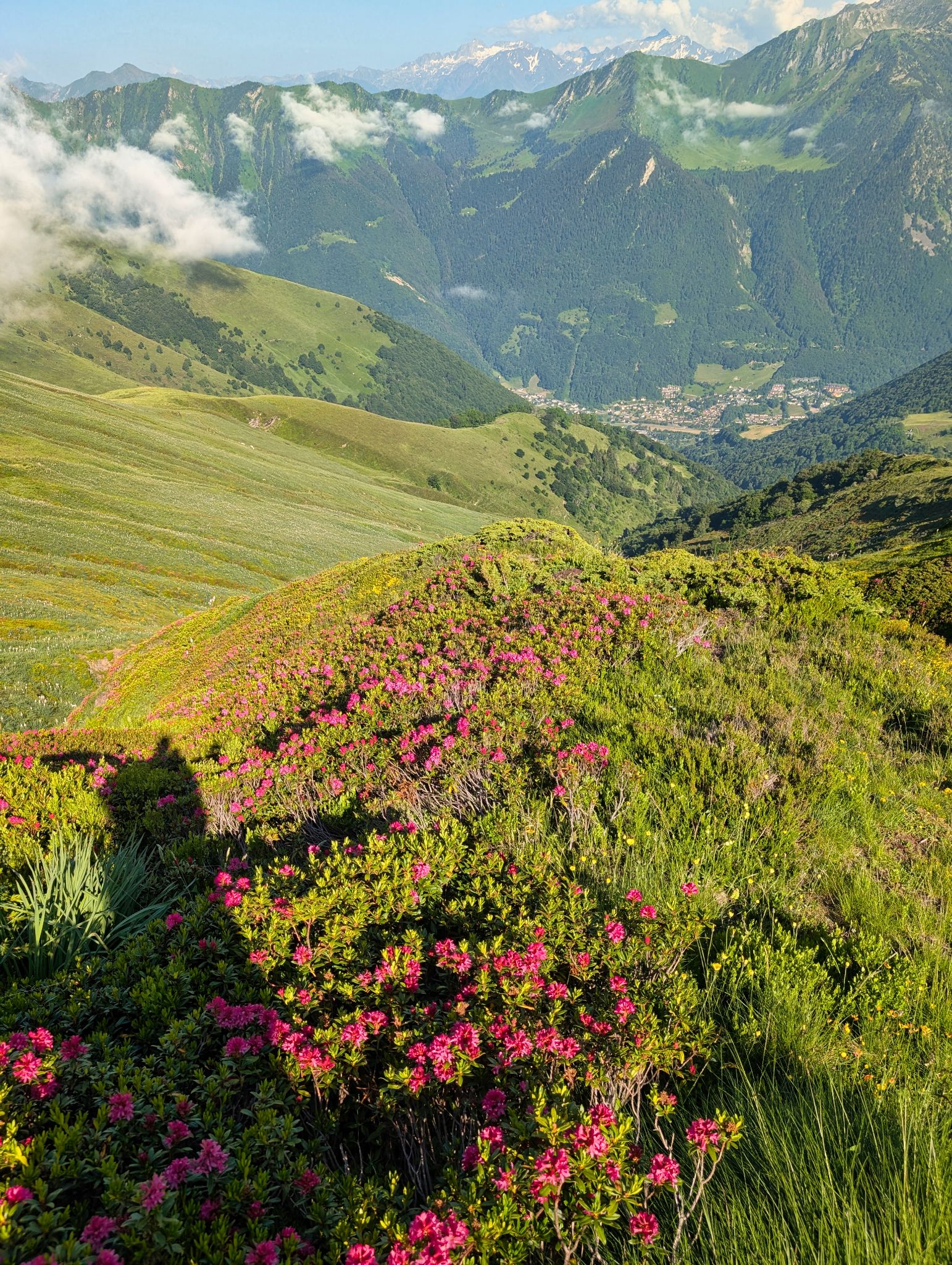 PXL 20250616 161414373