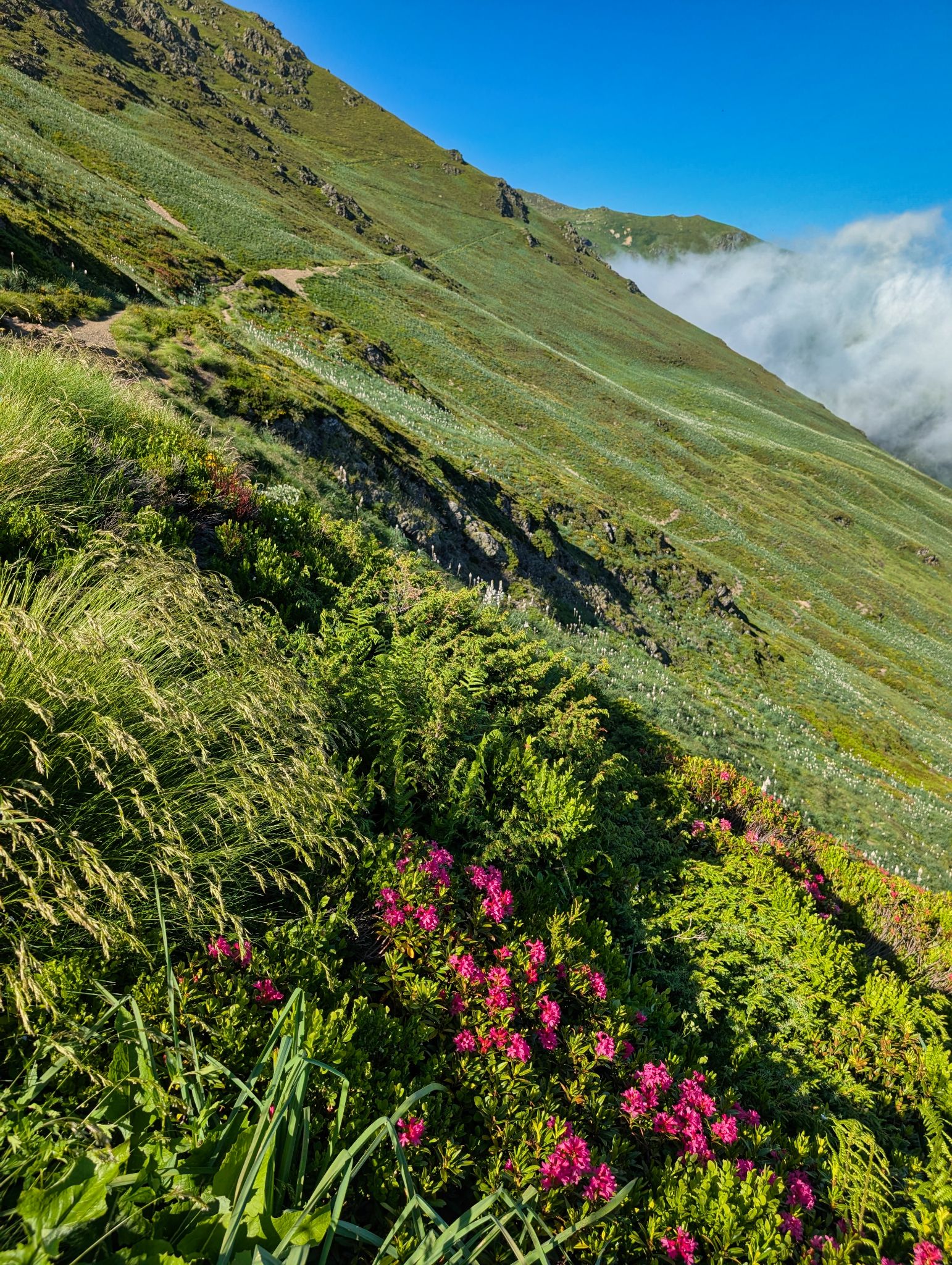 PXL 20250616 161420865