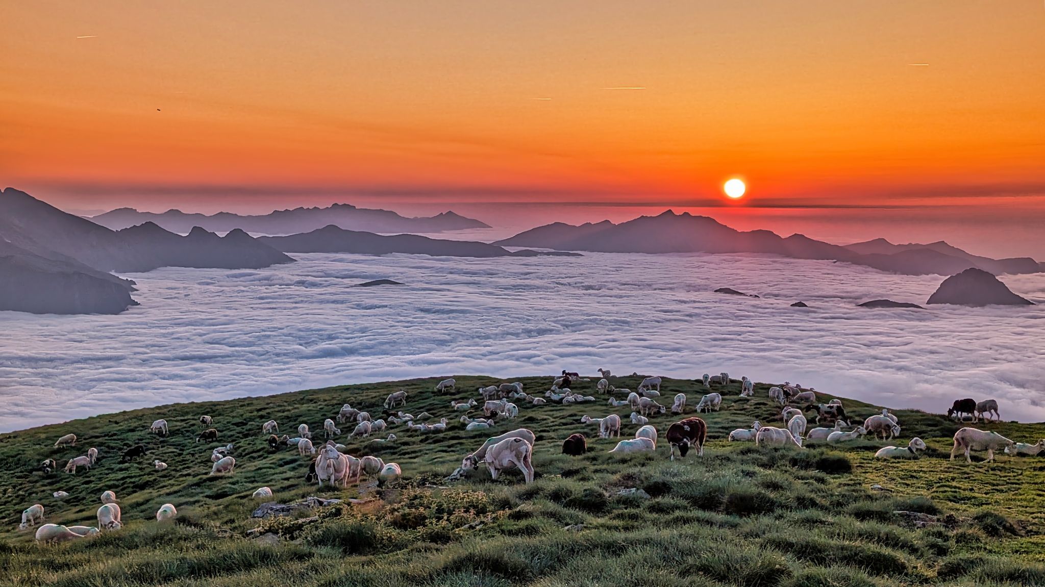 PXL 20250616 193956802