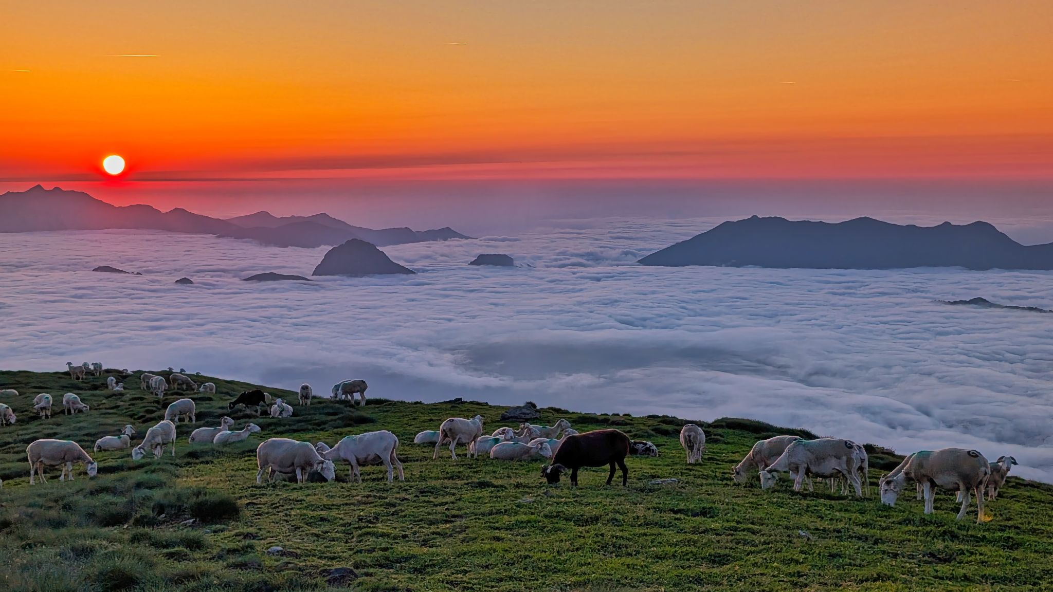 PXL 20250616 194050384