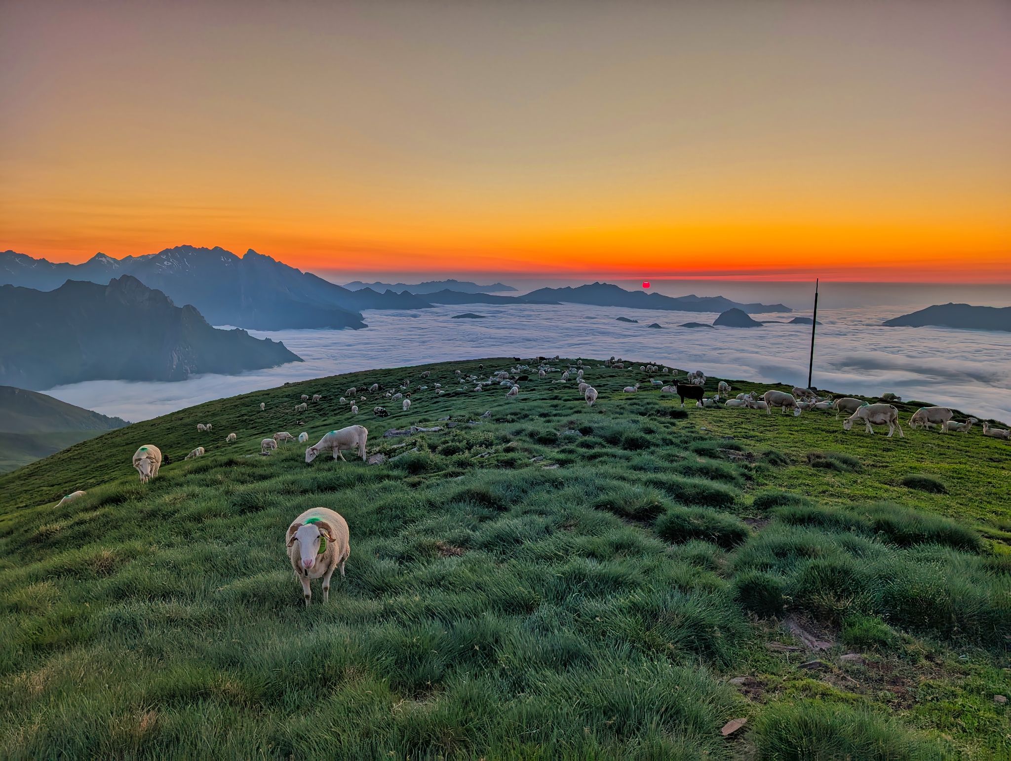 PXL 20250616 194831421