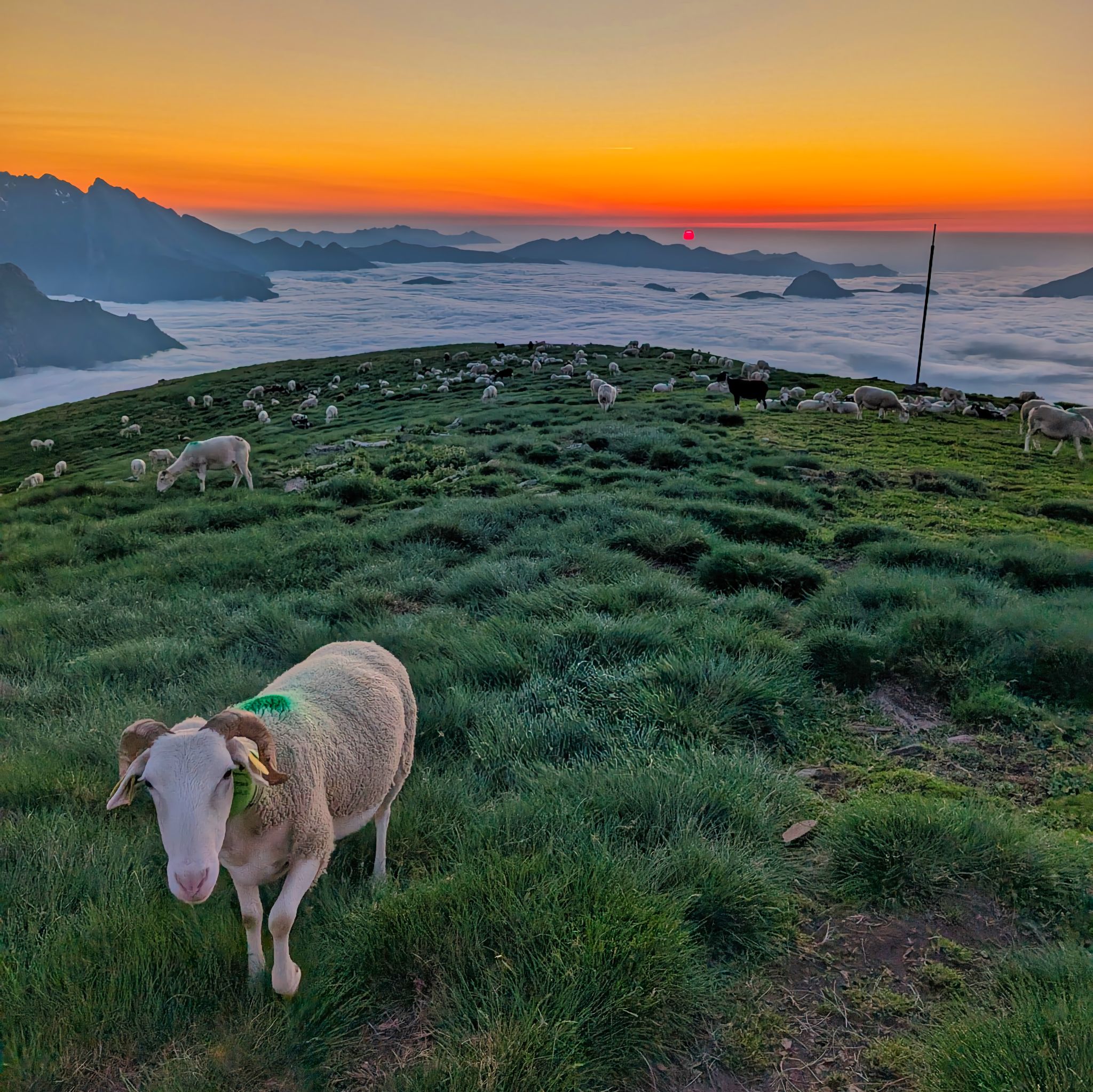 PXL 20250616 194841063.MP