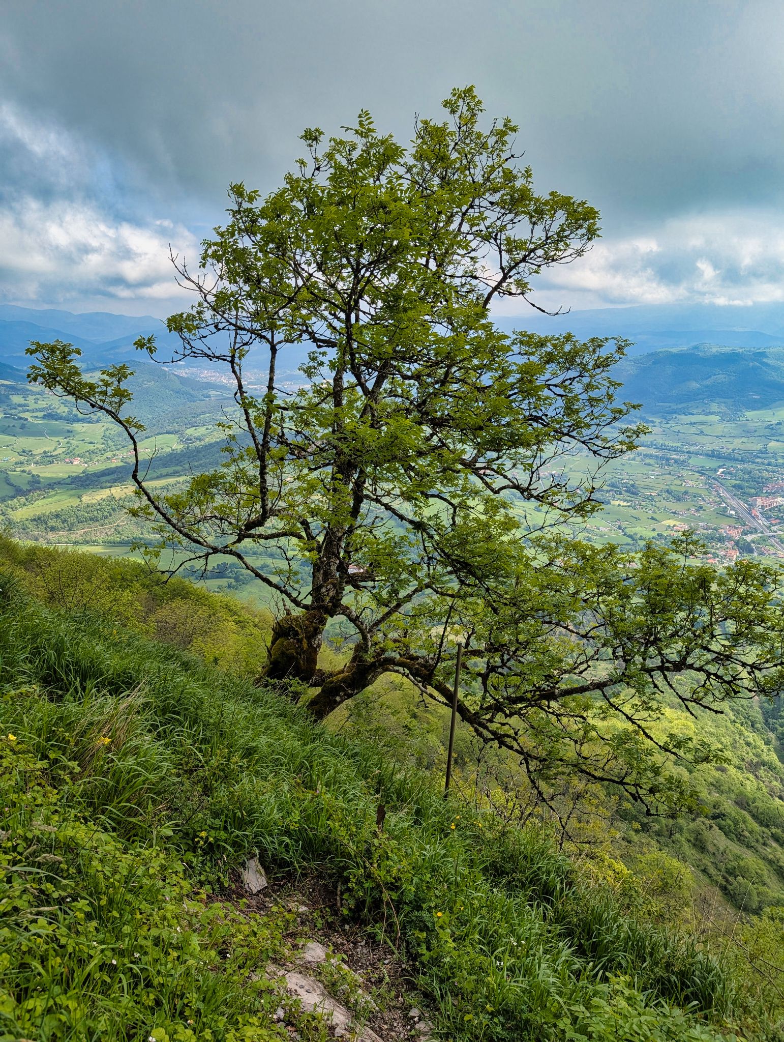 PXL 20250508 094623551