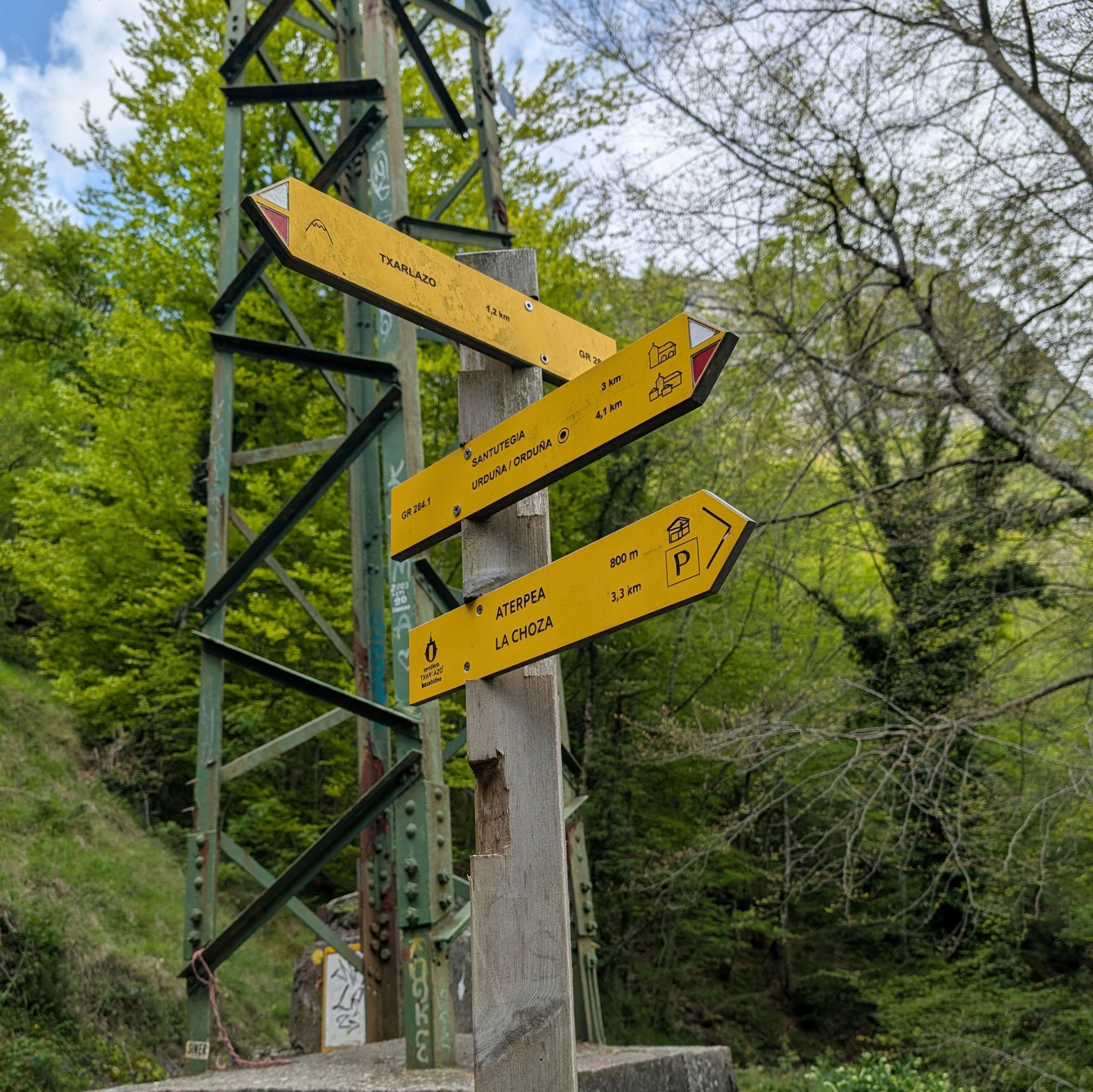 PXL 20250508 103749133