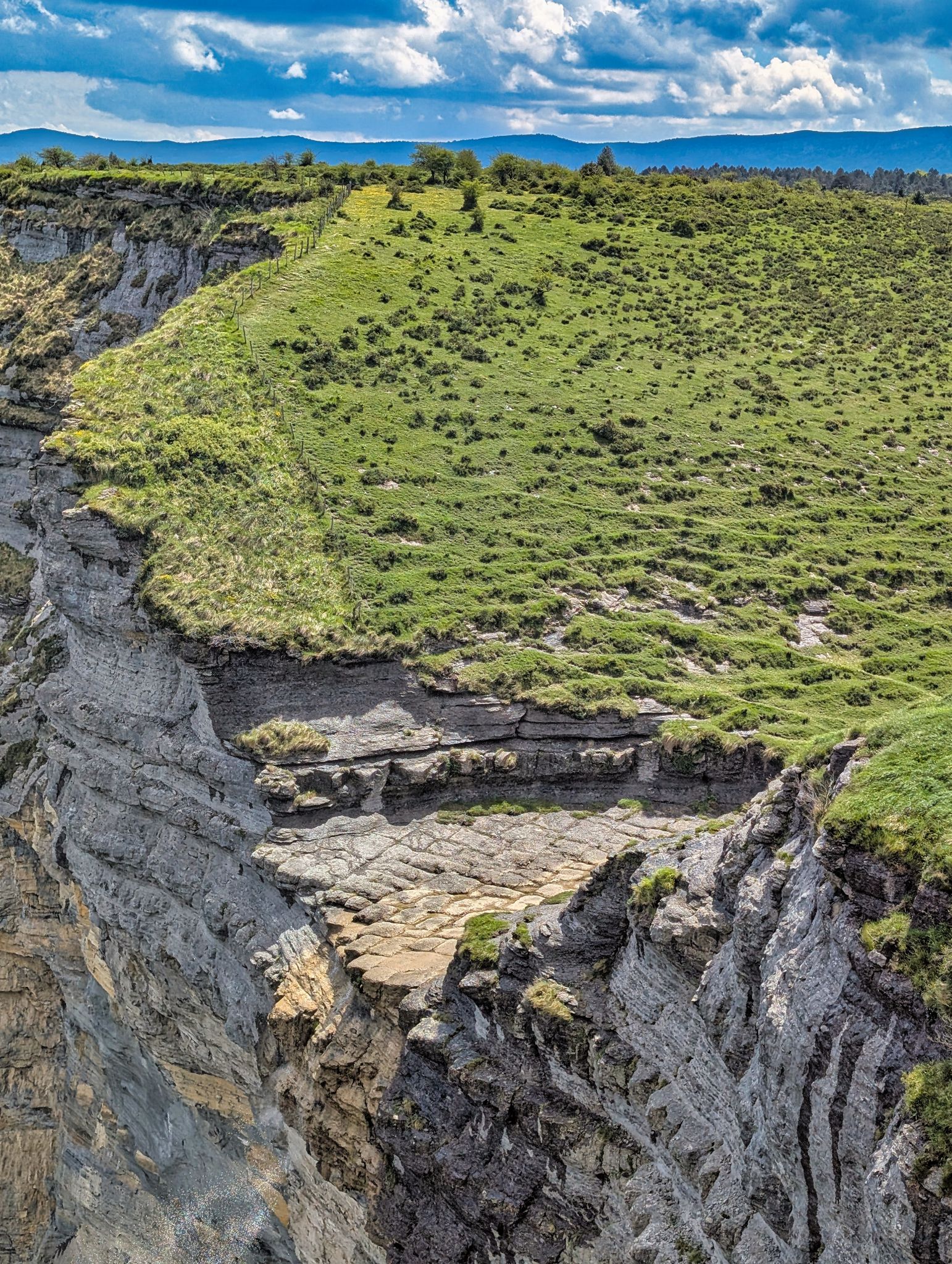 PXL 20250508 130544744