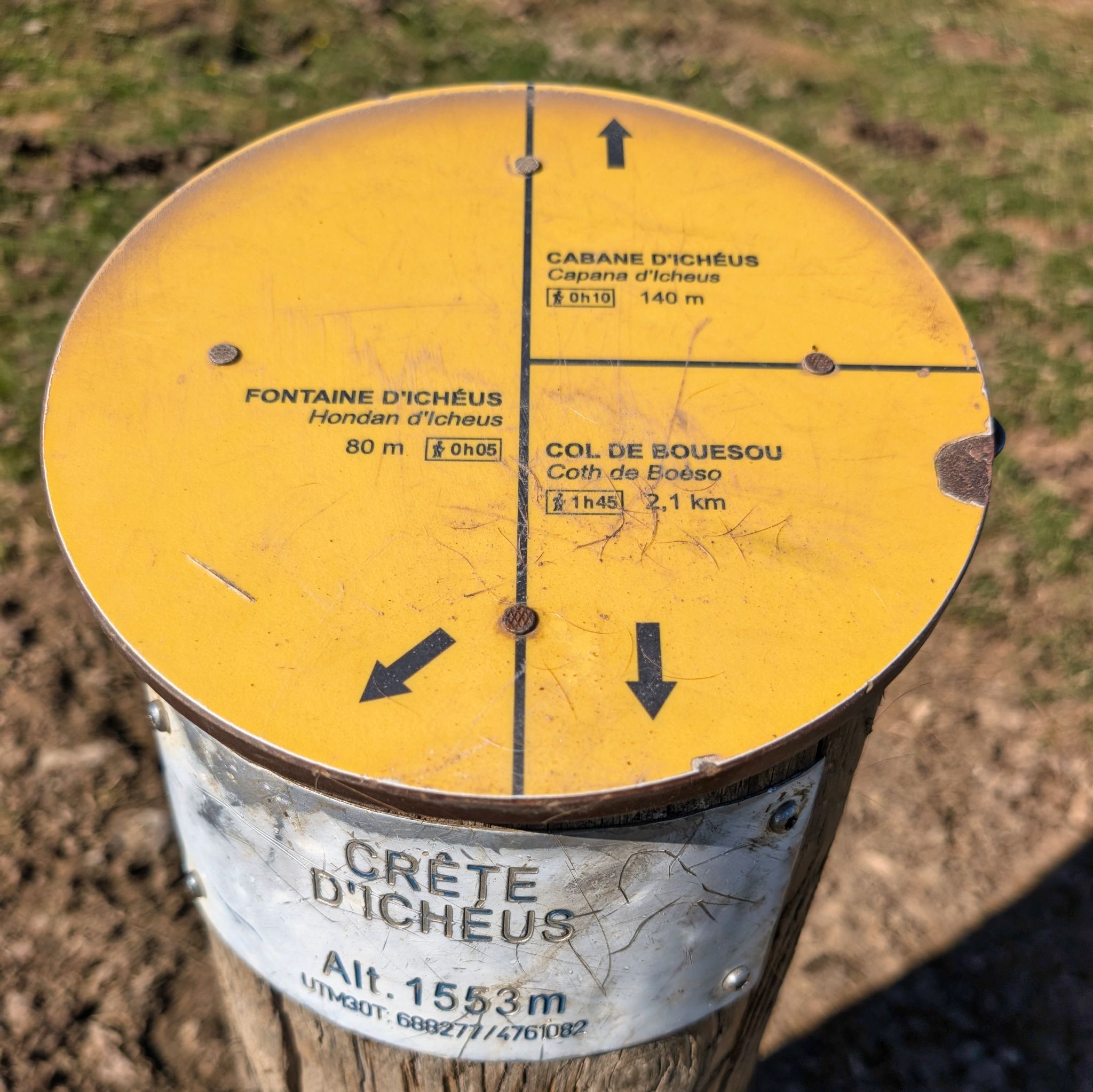 PXL 20250709 080858488