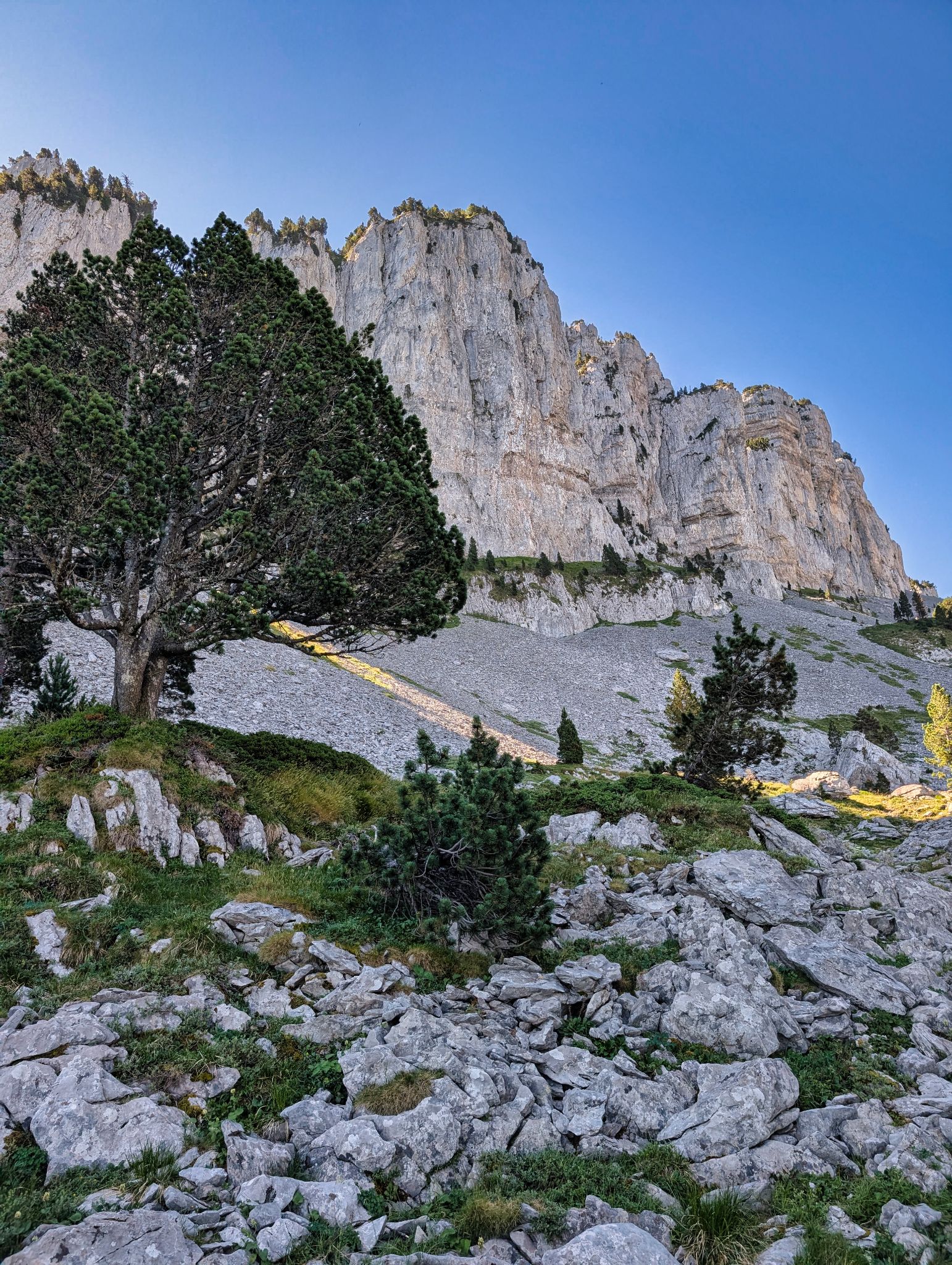 PXL 20250709 090024703