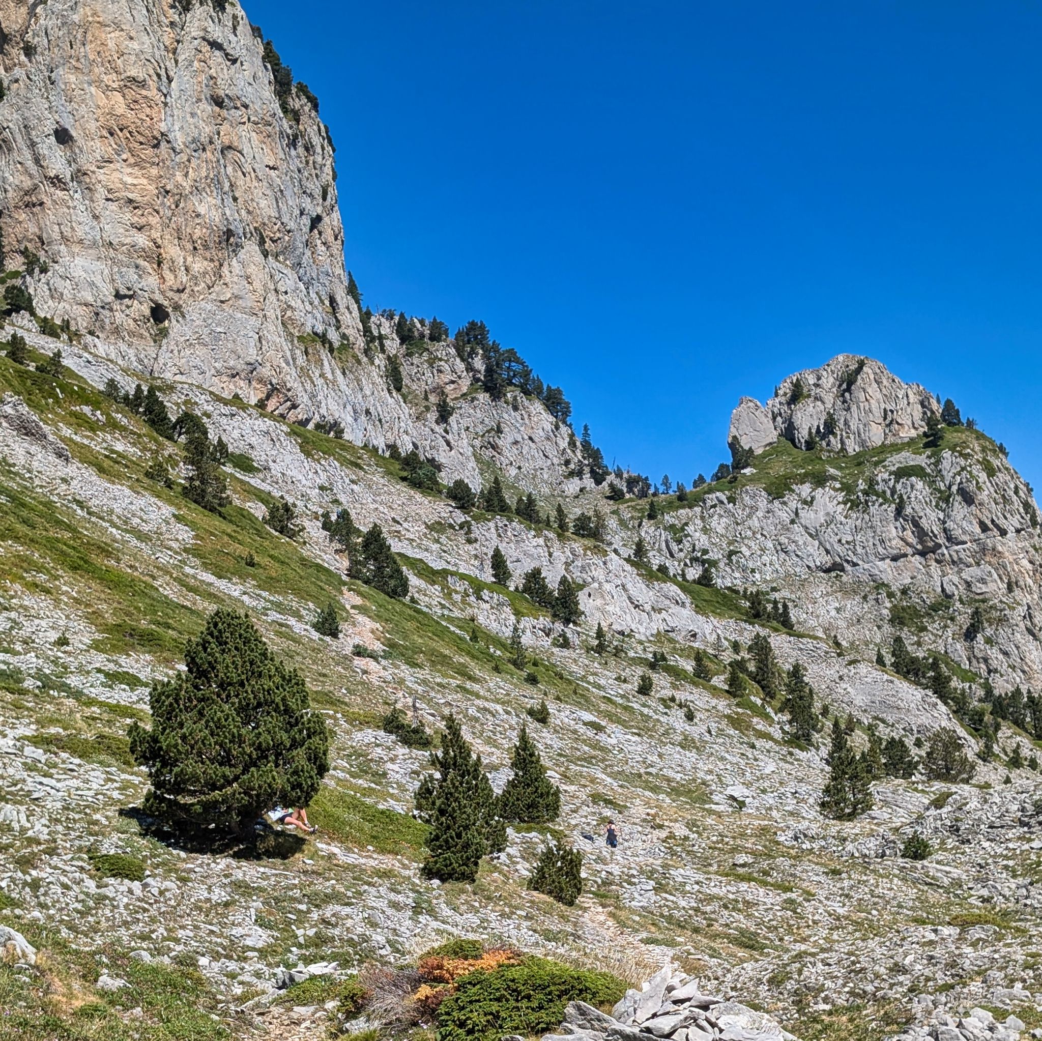 PXL 20250709 093506900