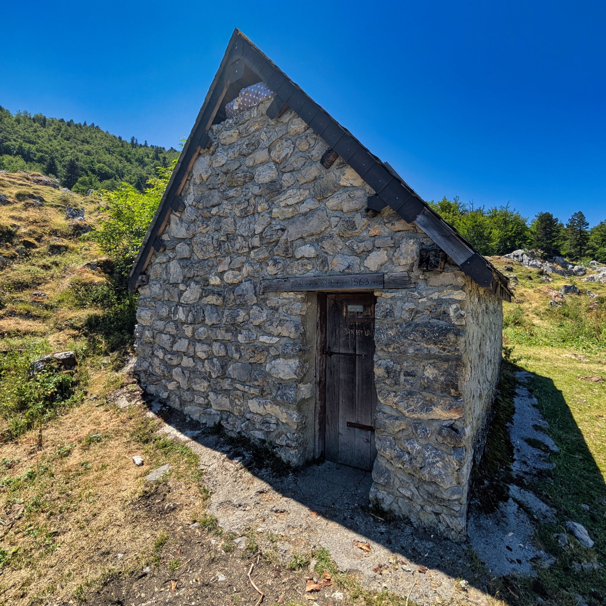 PXL 20250709 123108879