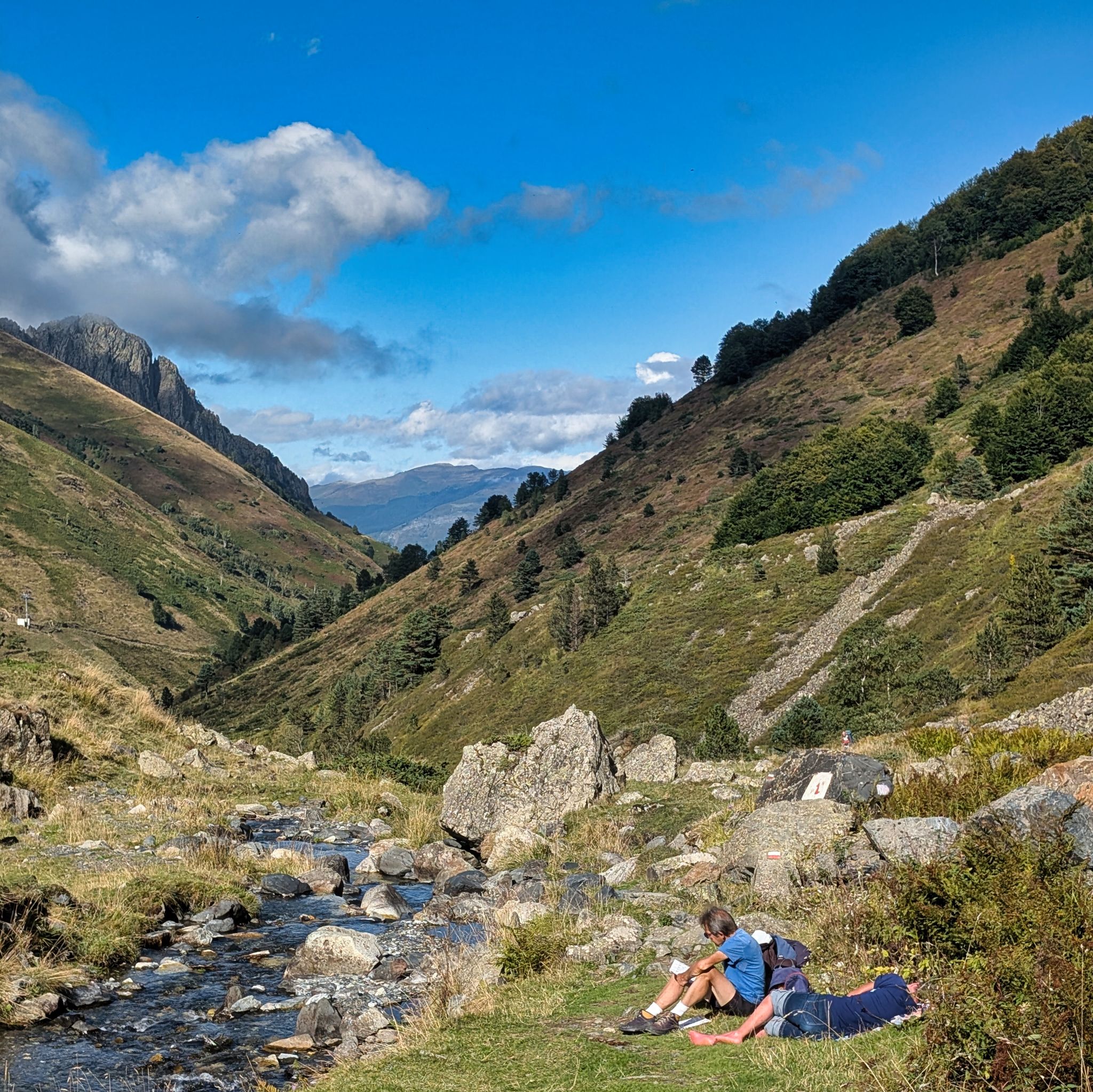 PXL 20250914 145634079