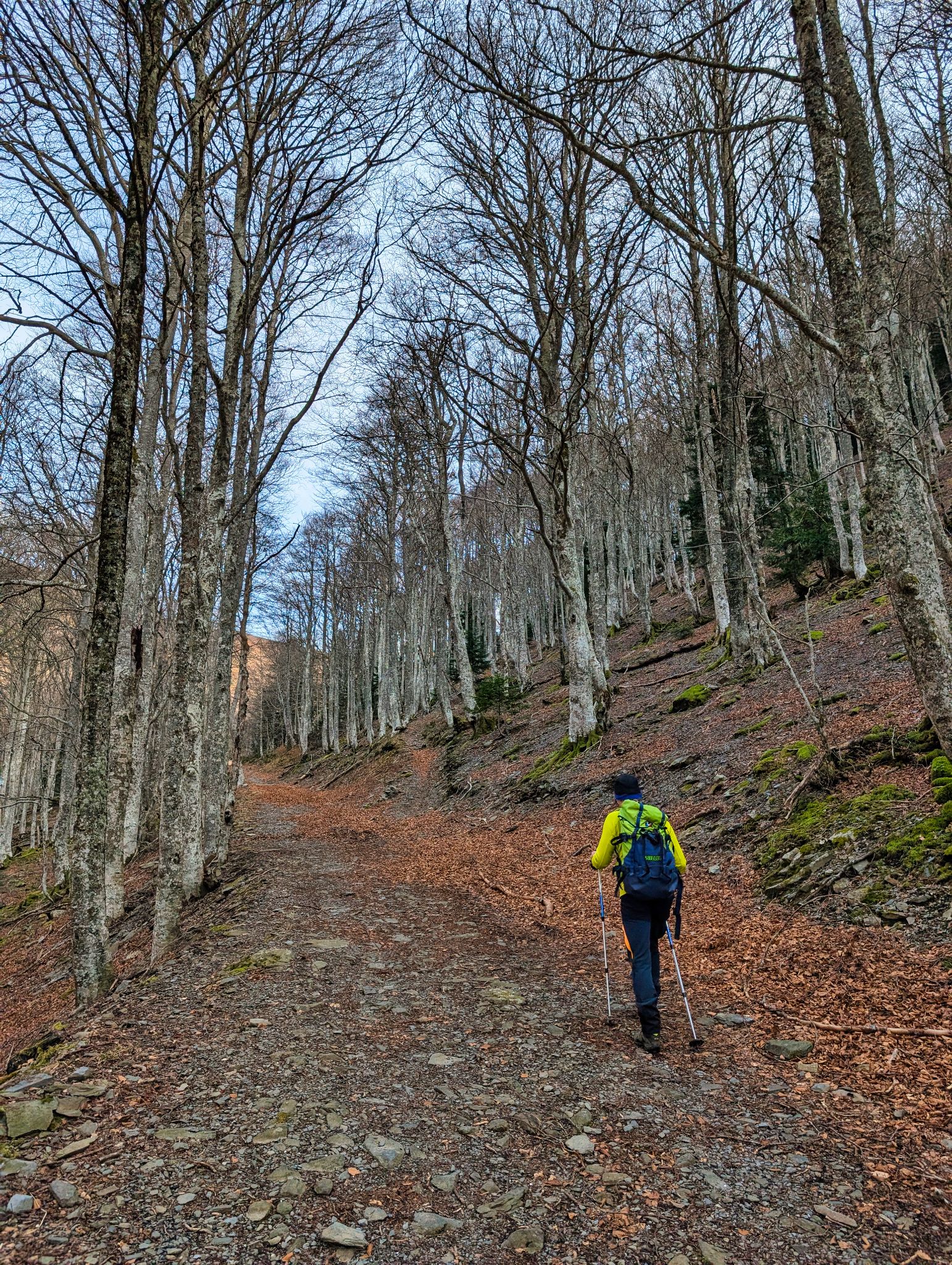 PXL 20250219 100924847