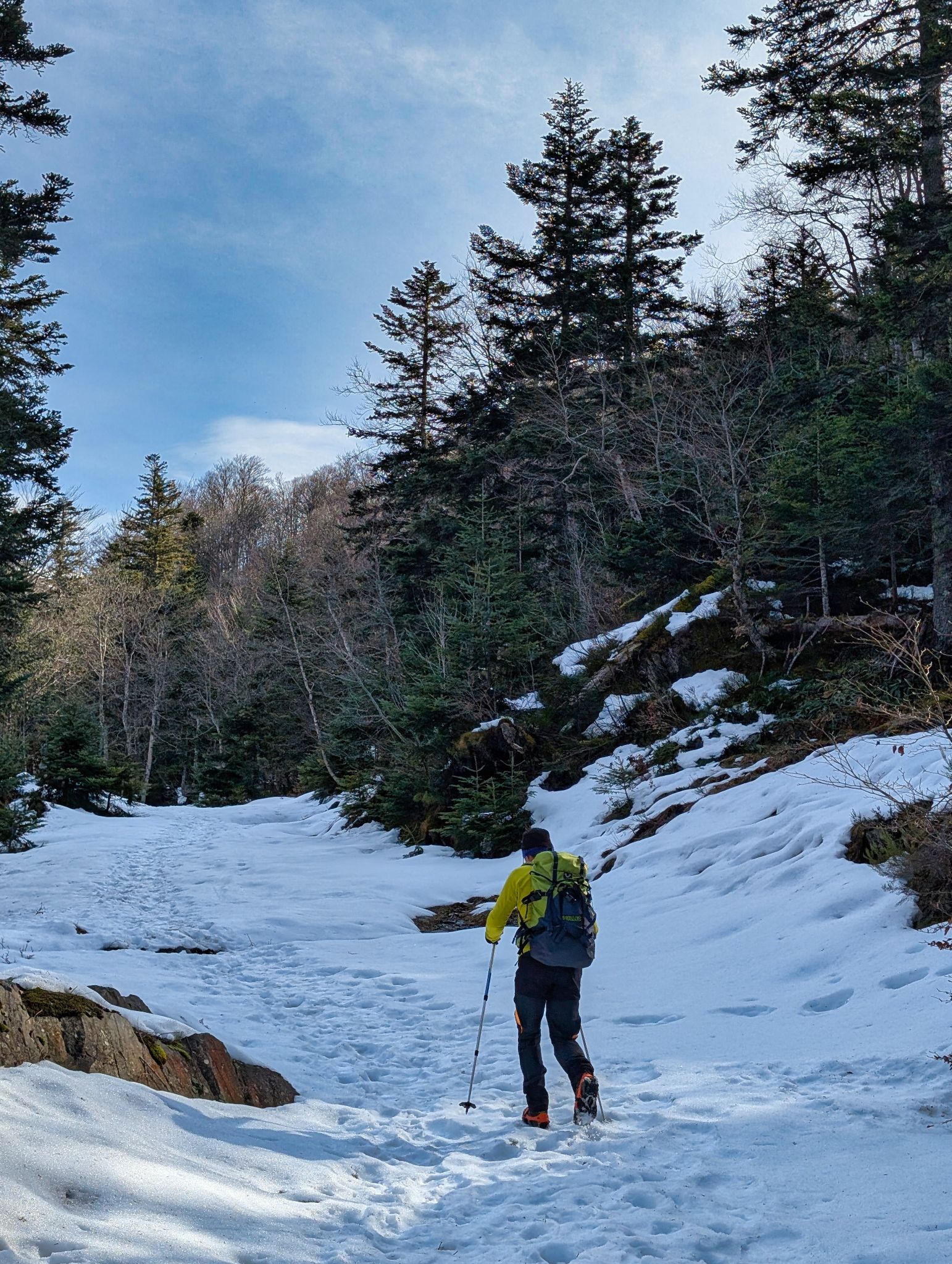 PXL 20250219 103318502