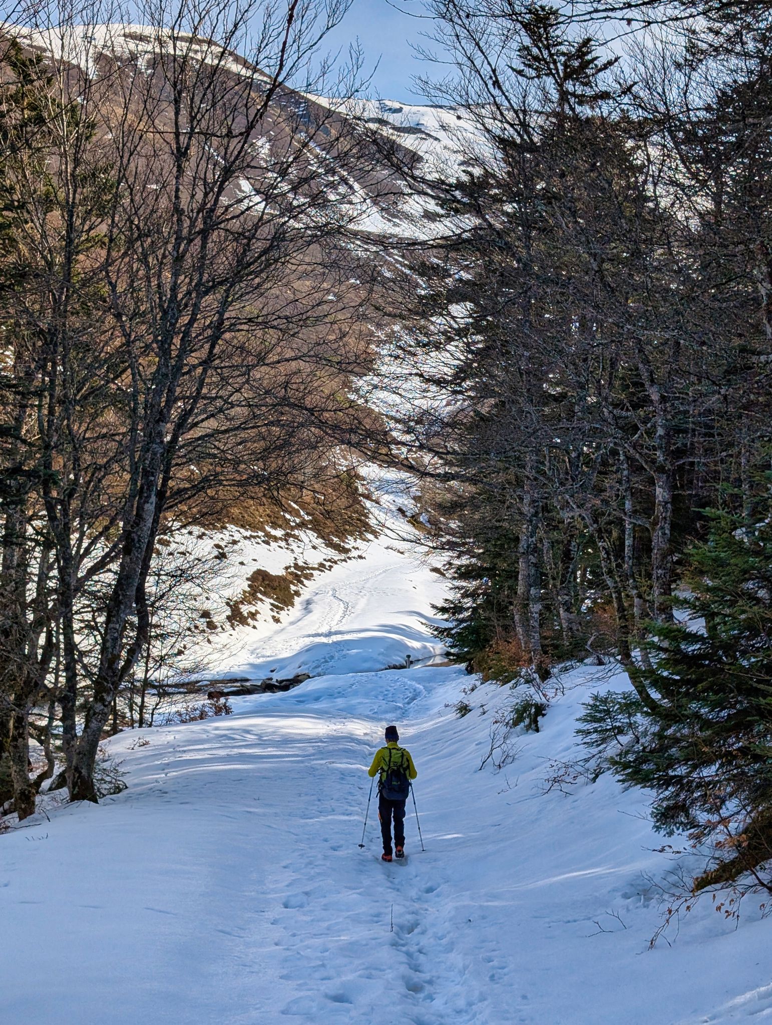 PXL 20250219 105546327