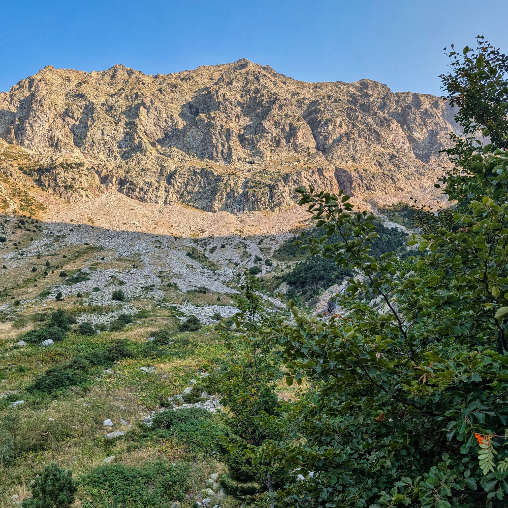 PXL 20250815 070853499