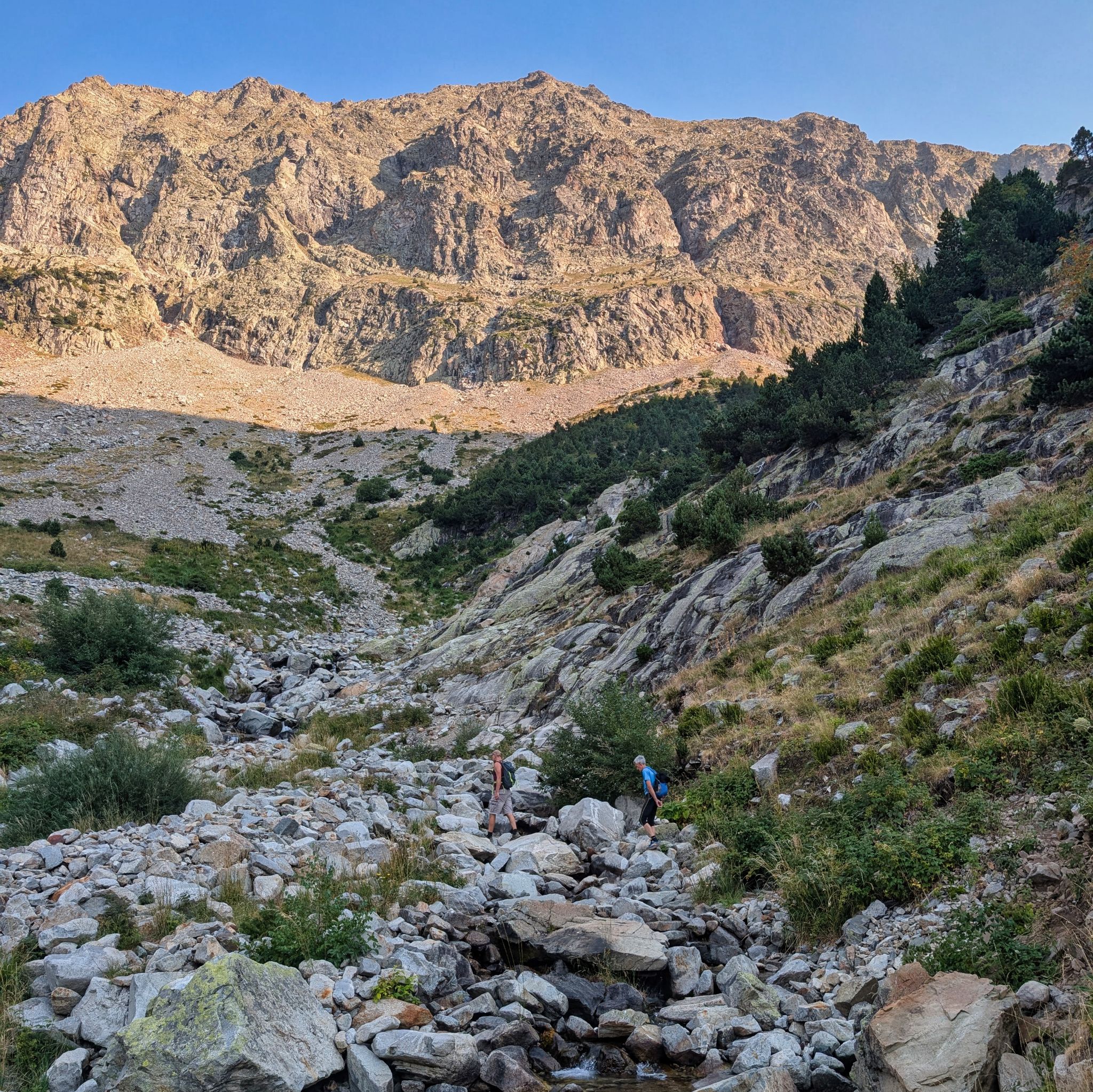 PXL 20250815 071428469