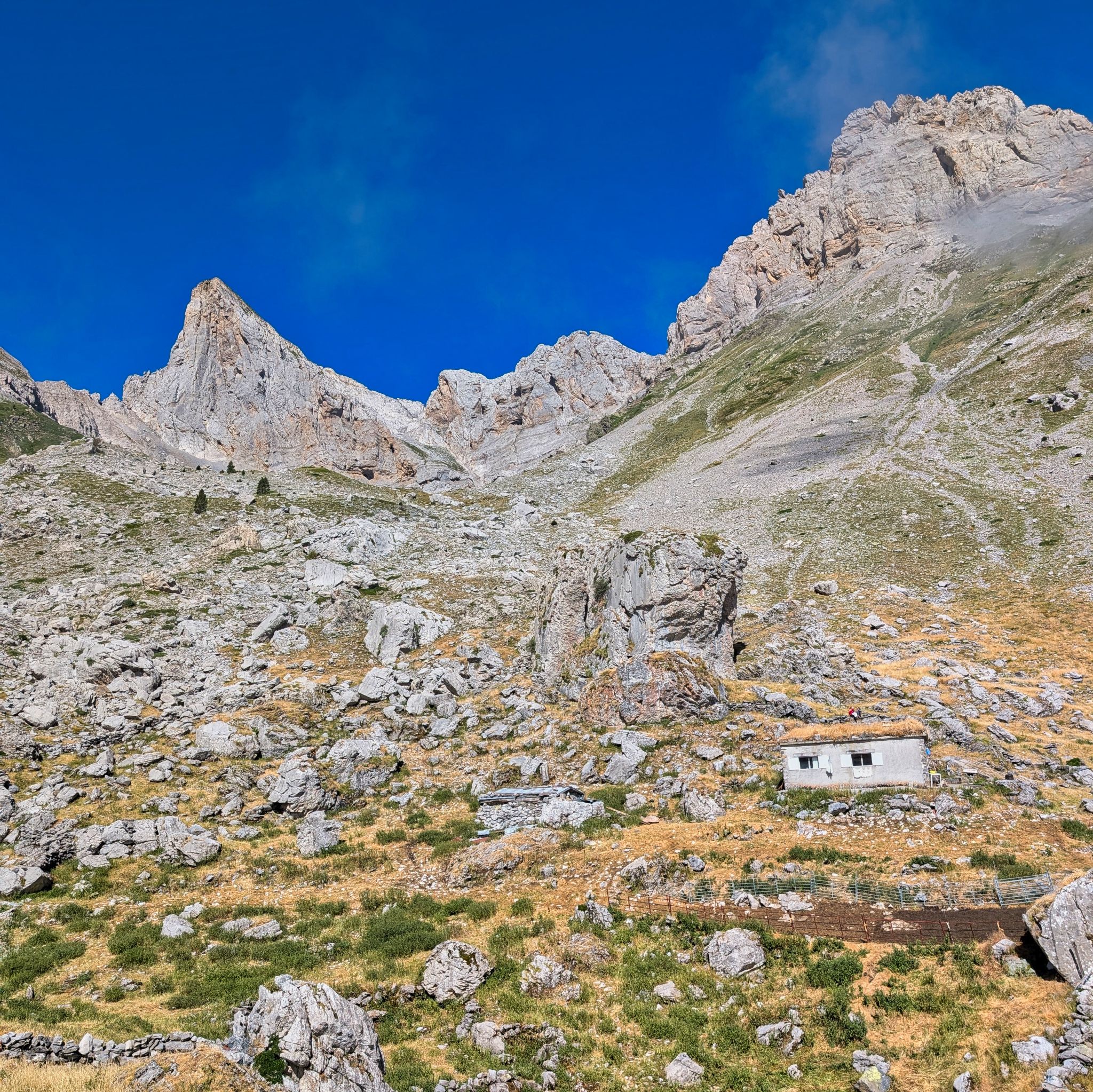 PXL 20250708 084010749