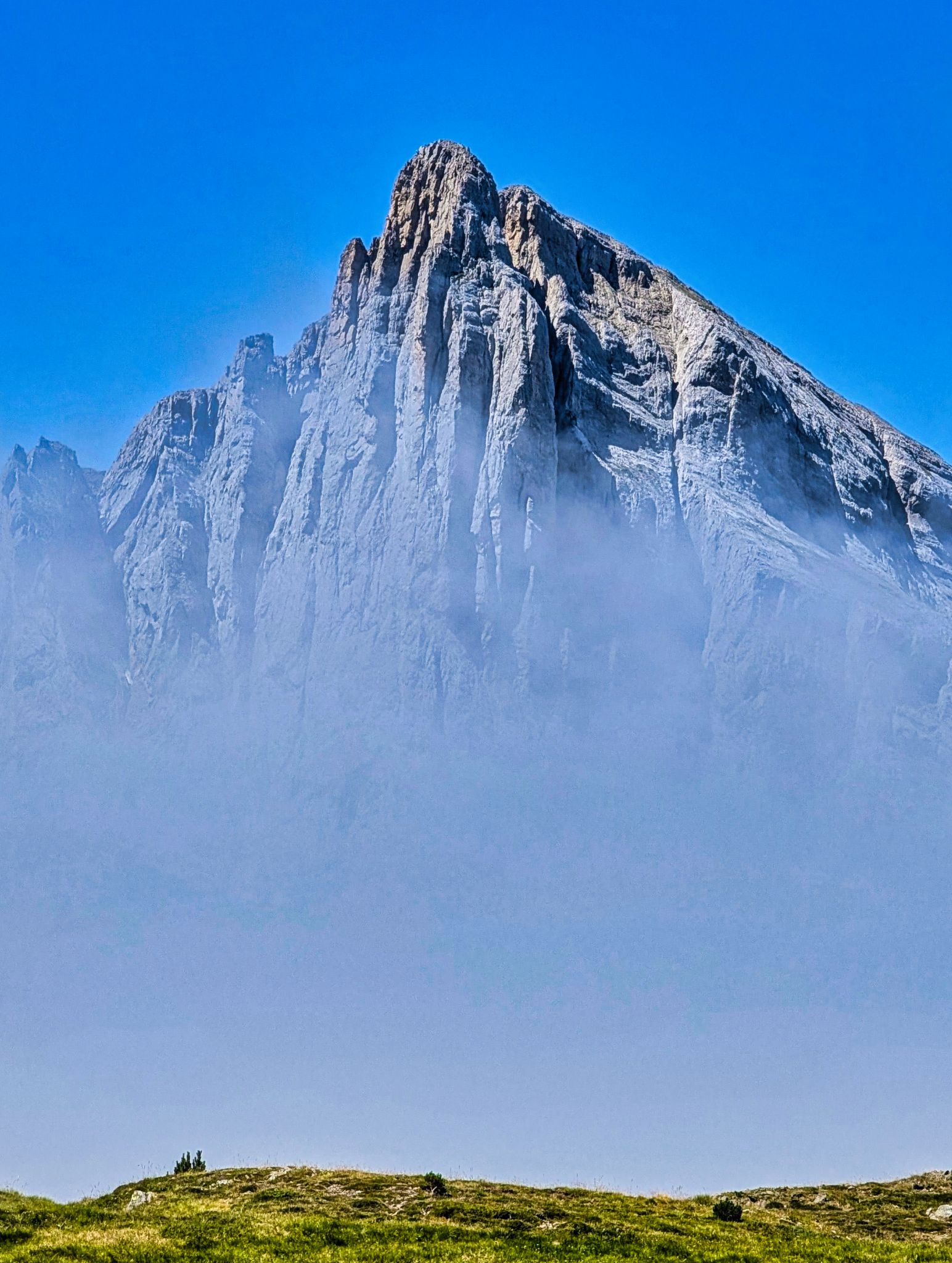 PXL 20250708 103526826~3