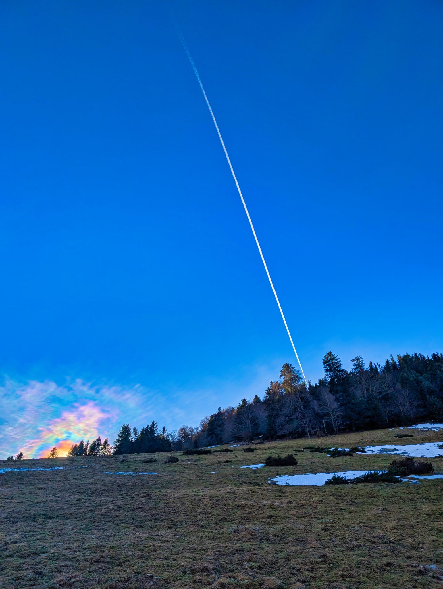 PXL 20250115 100126329