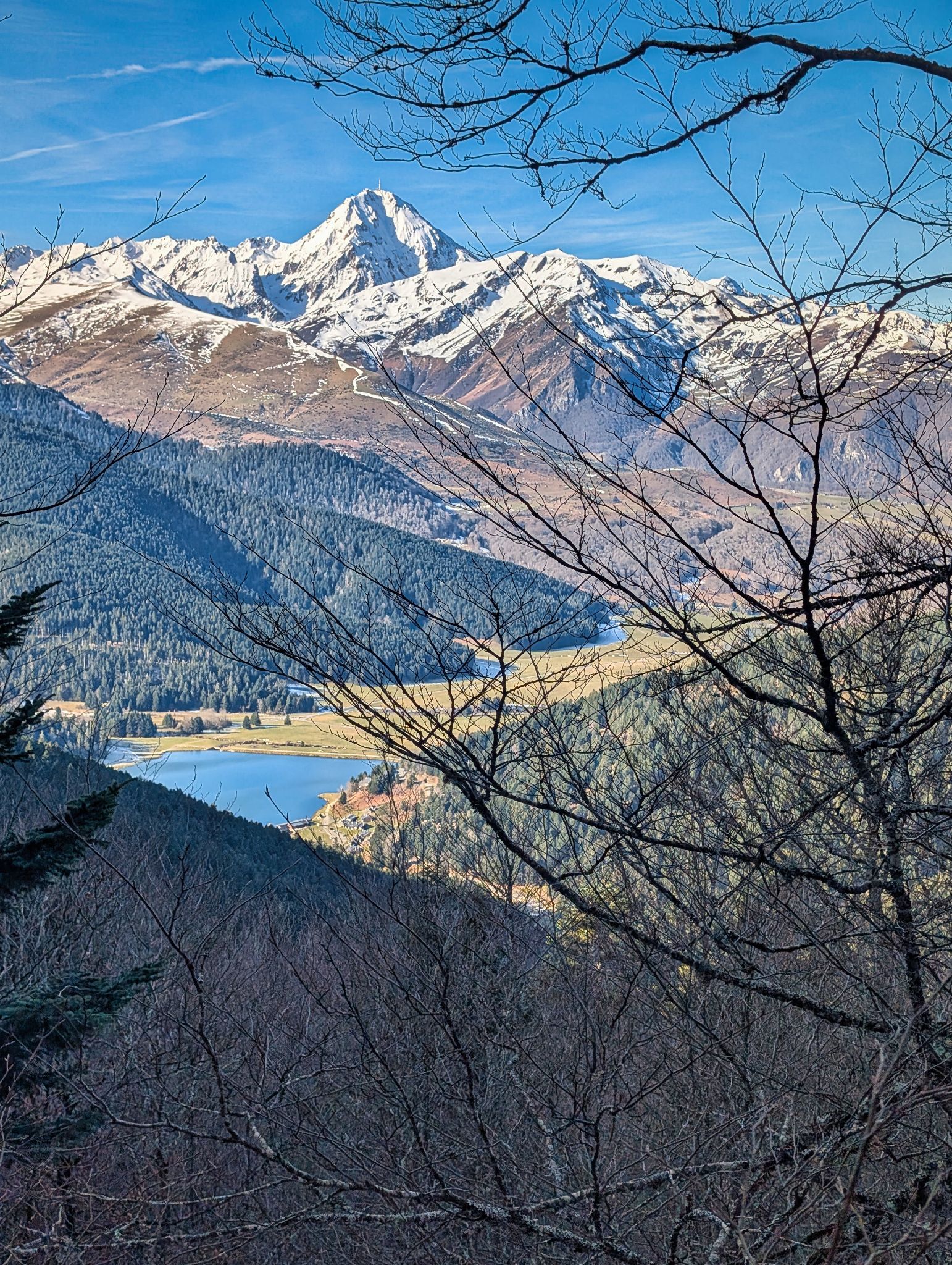 PXL 20250115 102900146