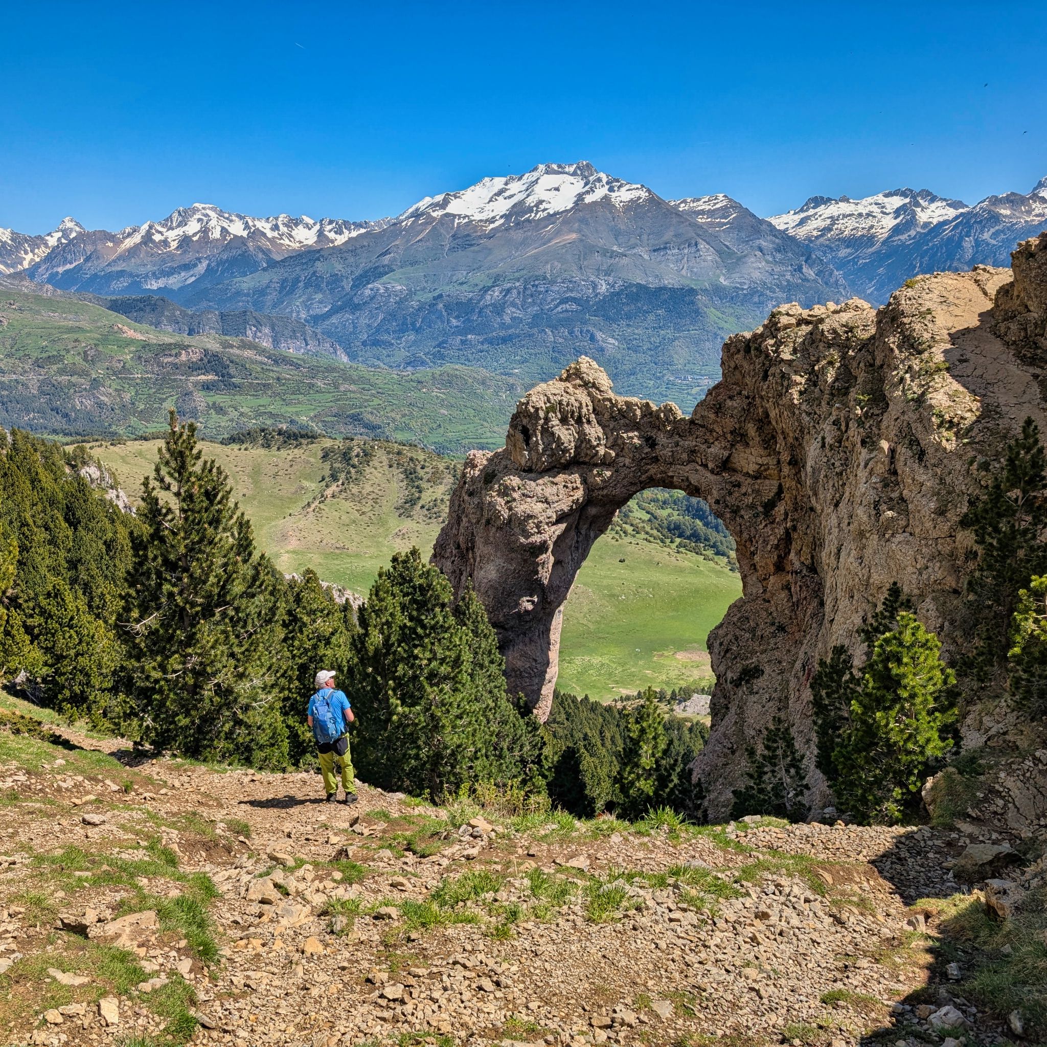 PXL 20250517 101211750