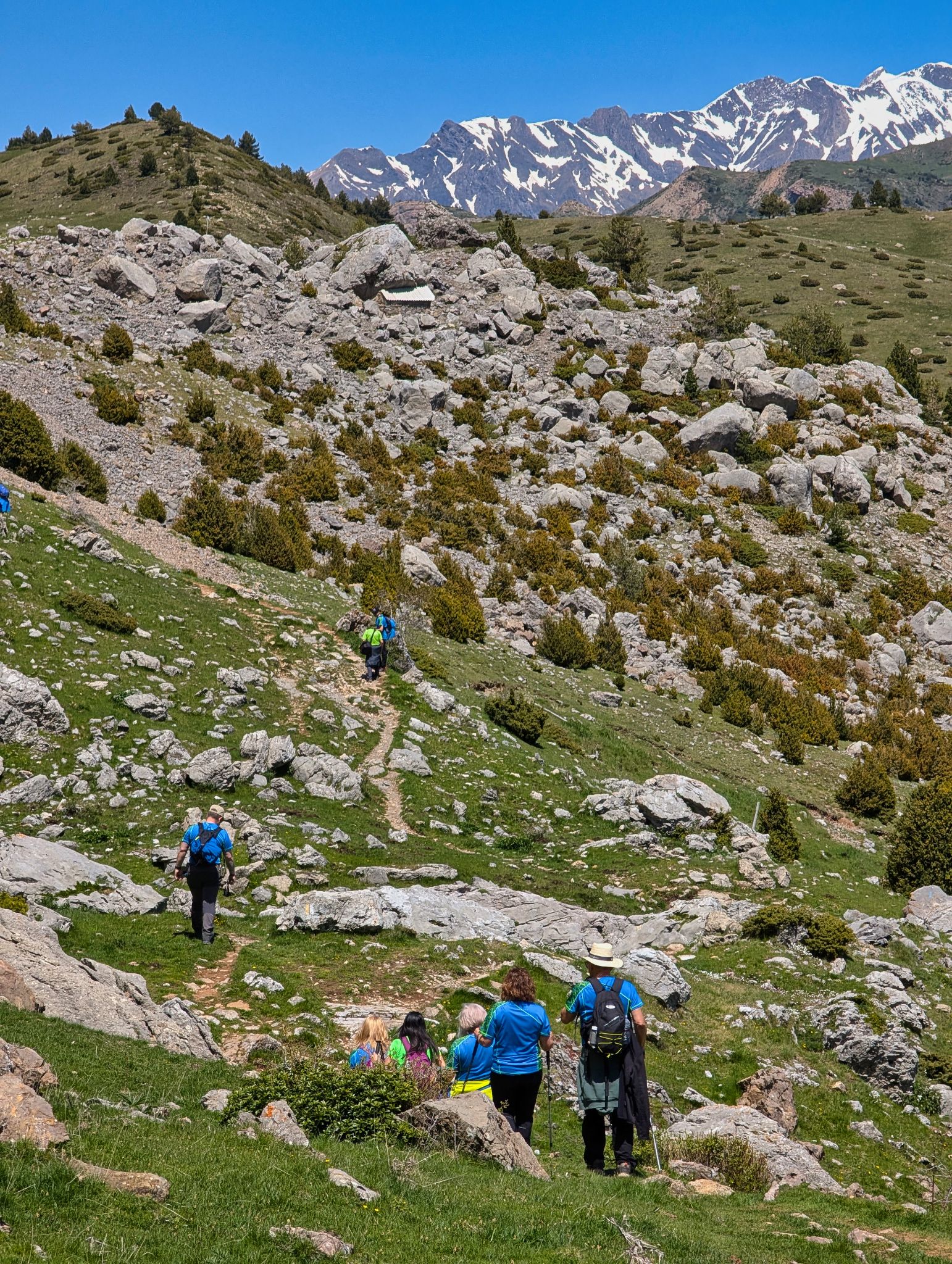 PXL 20250517 111953101